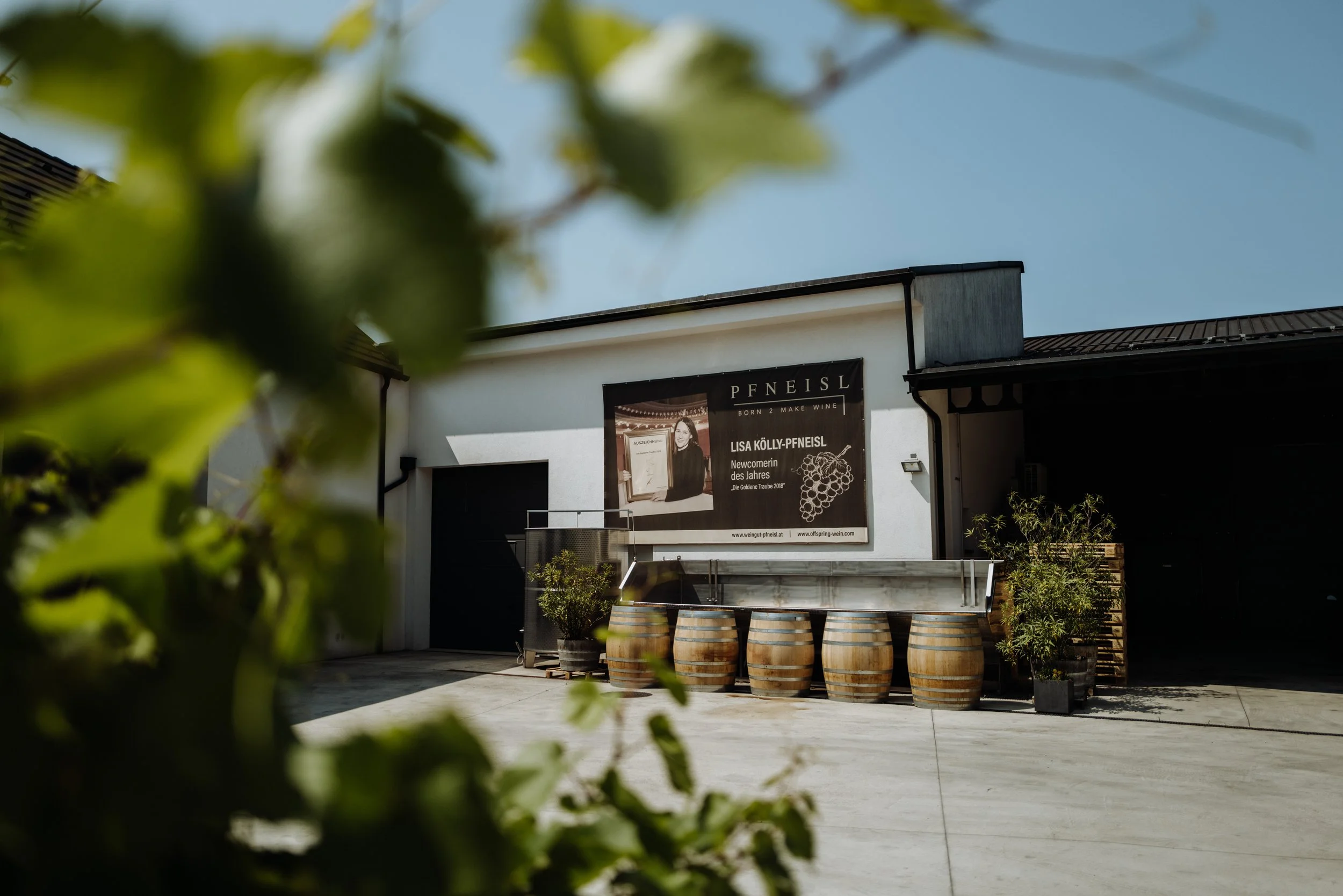 Weingut Pfneisl 16 - (c) _michaelschartner.creative.jpg