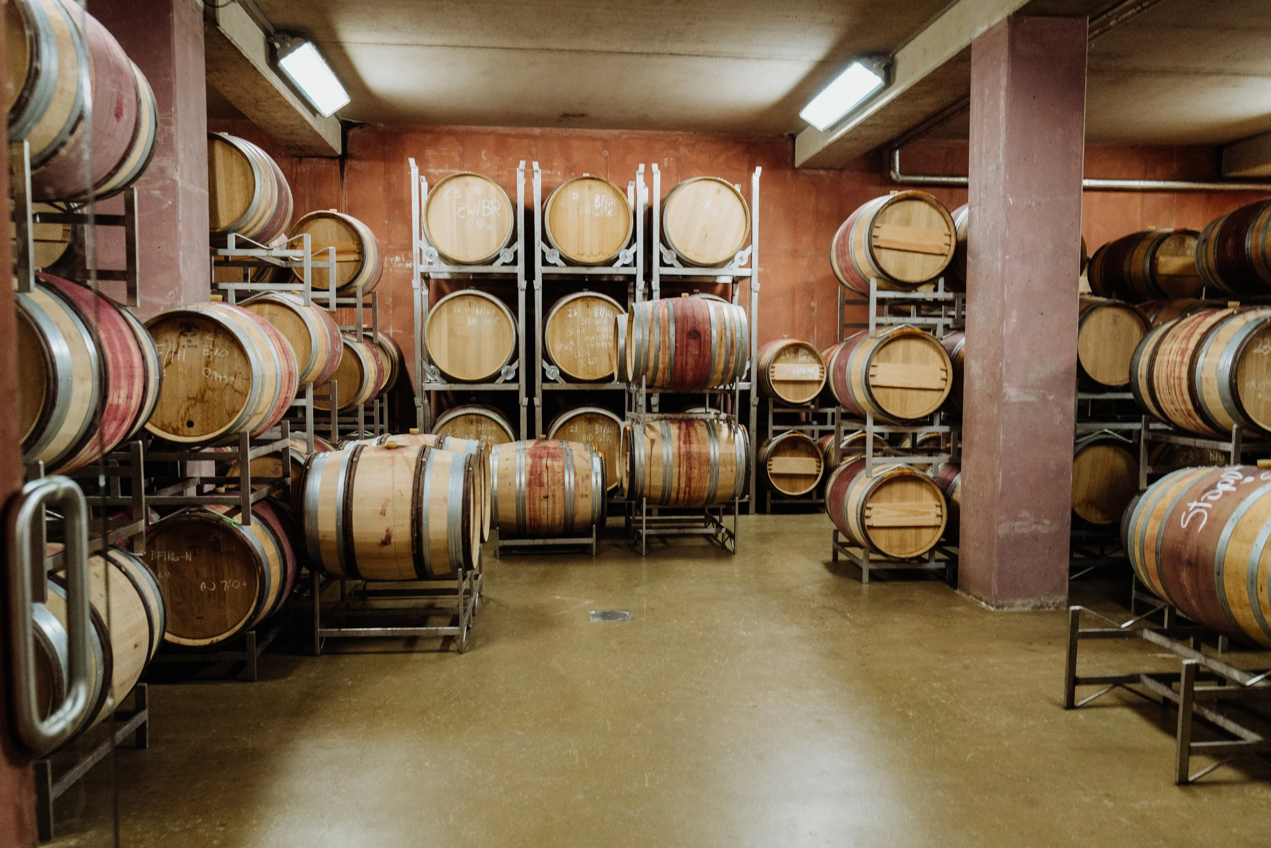 Weingut Markowitsch - 13.05.2025 (39 of 71).jpg