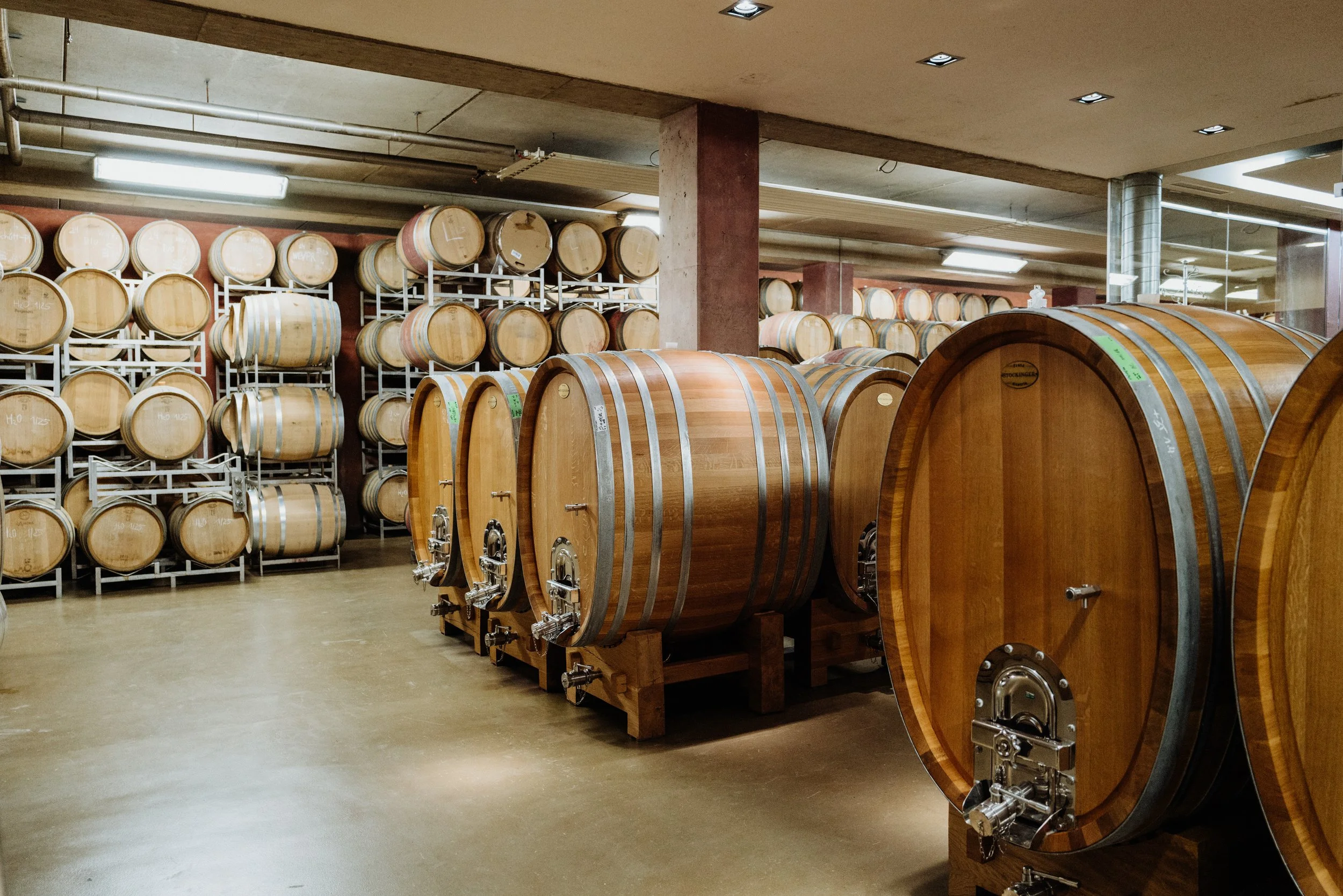 Weingut Markowitsch - 13.05.2025 (43 of 71).jpg