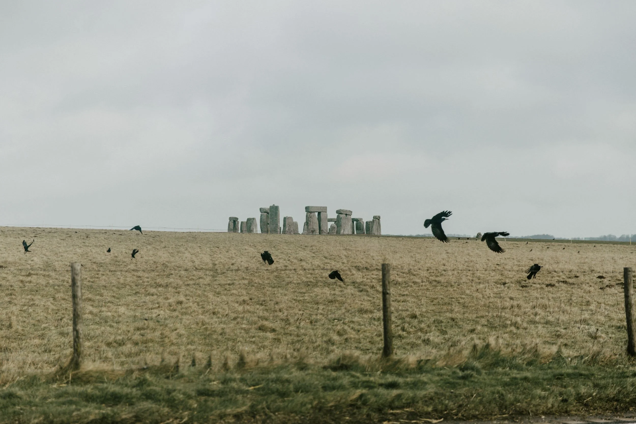 Michael Schartner South England (10 of 33).jpg