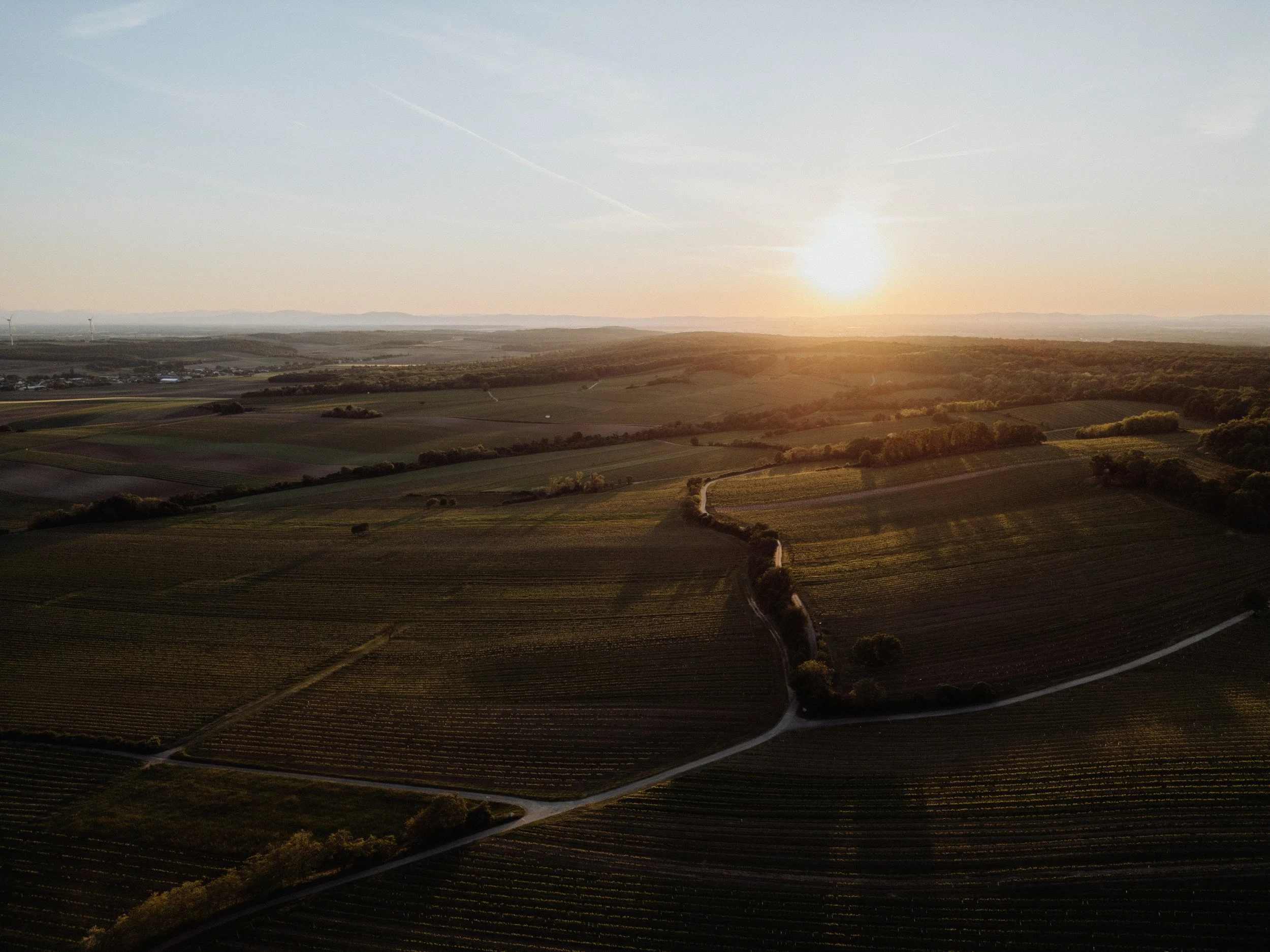 Weingut Markowitsch - 13.05.2025 (10 of 71).jpg