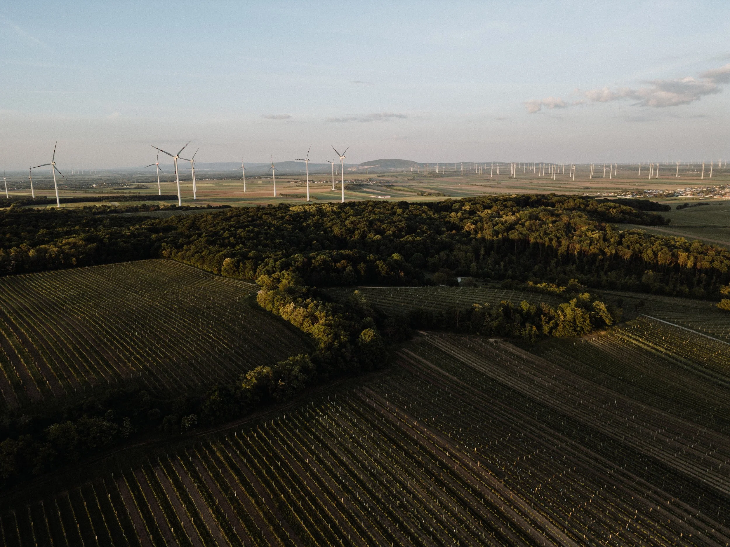 Weingut Markowitsch - 13.05.2025 (4 of 71).jpg