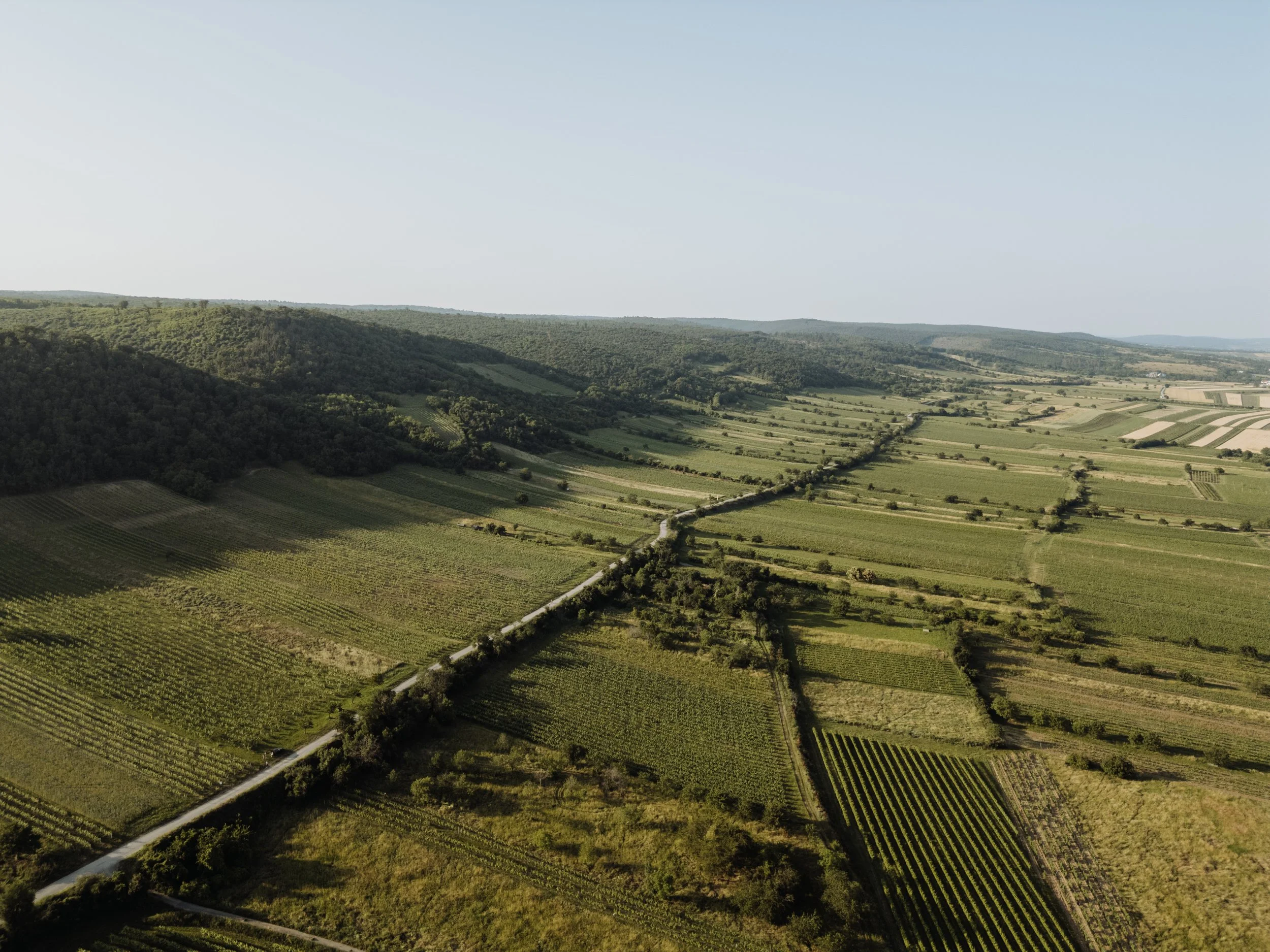 Weingut Reichardt - (c) _michaelschartner.creative-1.jpg