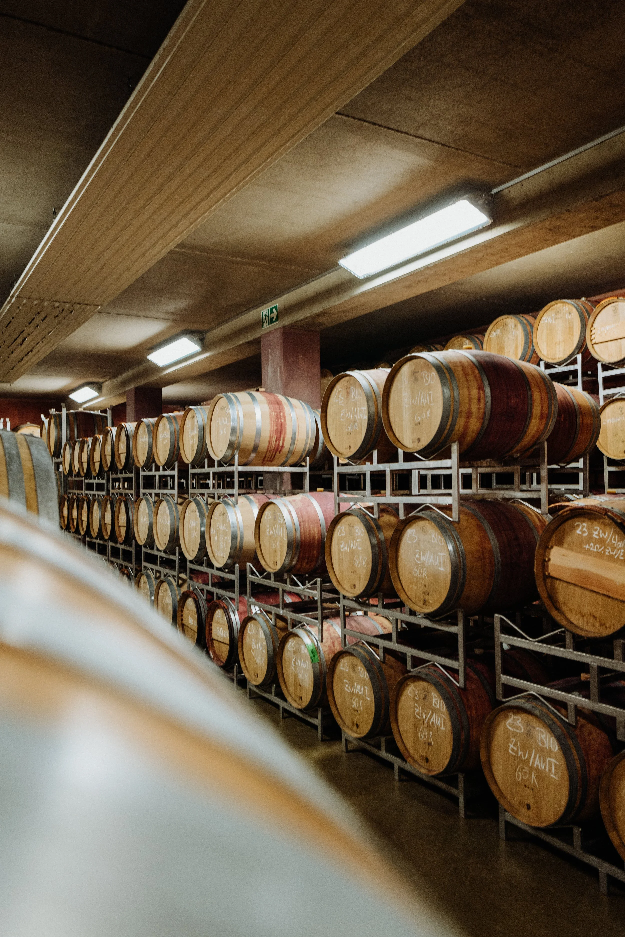 Weingut Markowitsch - 13.05.2025 (36 of 71).jpg