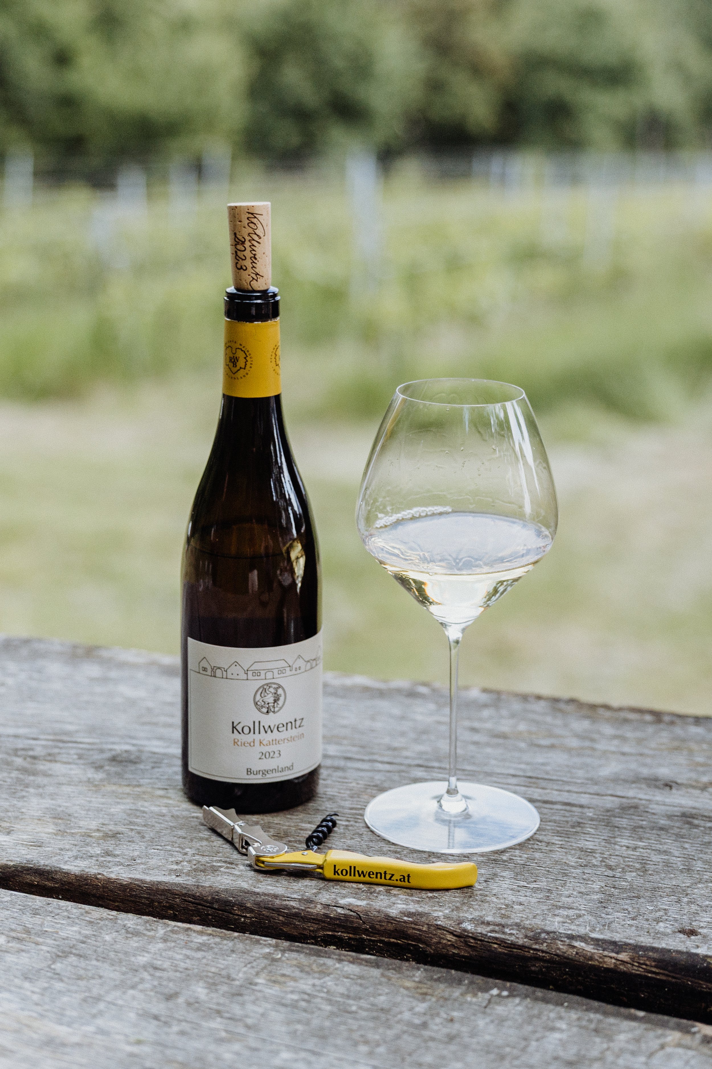 Weingut Kollwentz - 13.05.2025 (23 of 39).jpg