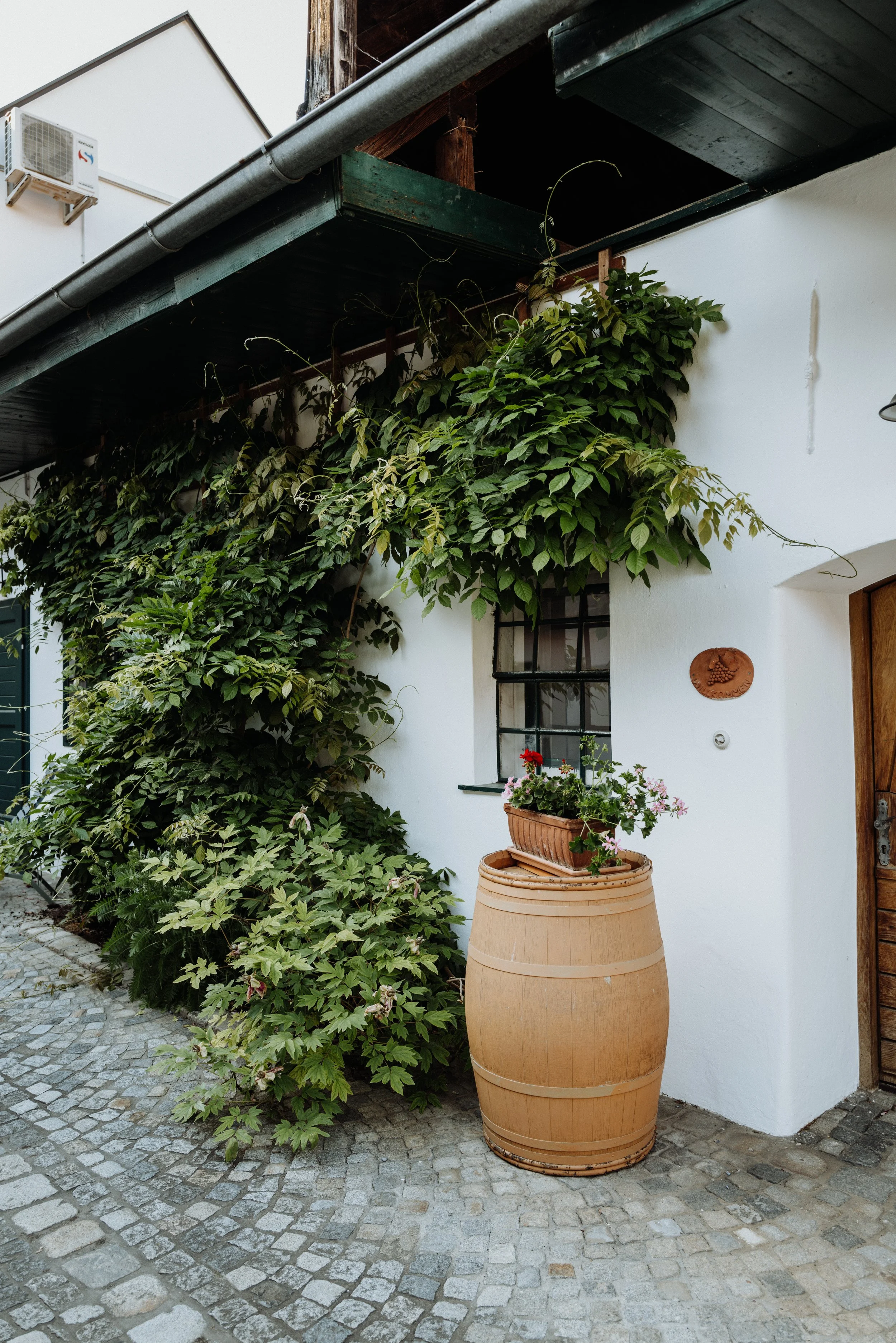 Weingut Markowitsch - 13.05.2025 (30 of 71).jpg