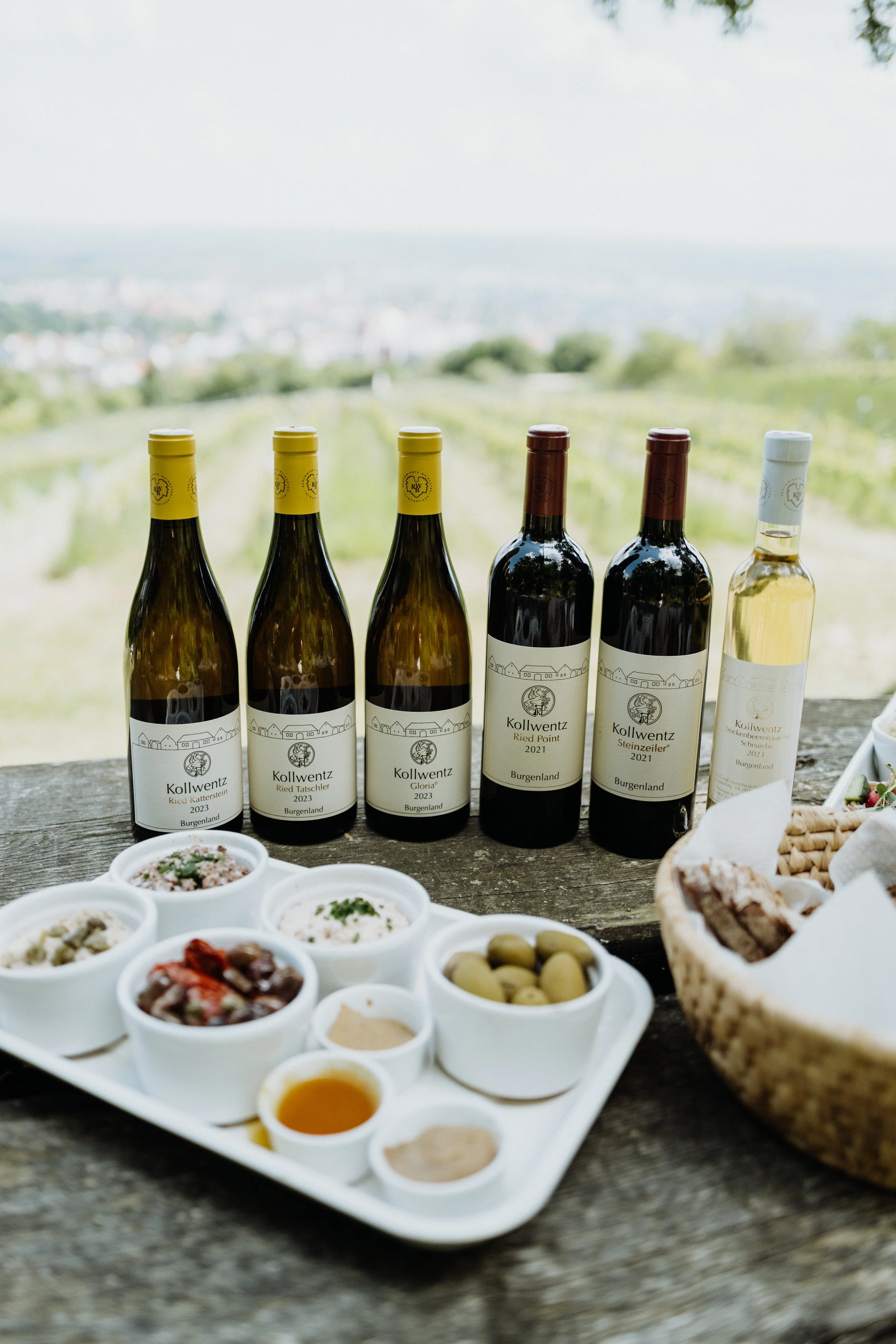 Weingut Kollwentz - 13.05.2025 (25 of 39).jpg