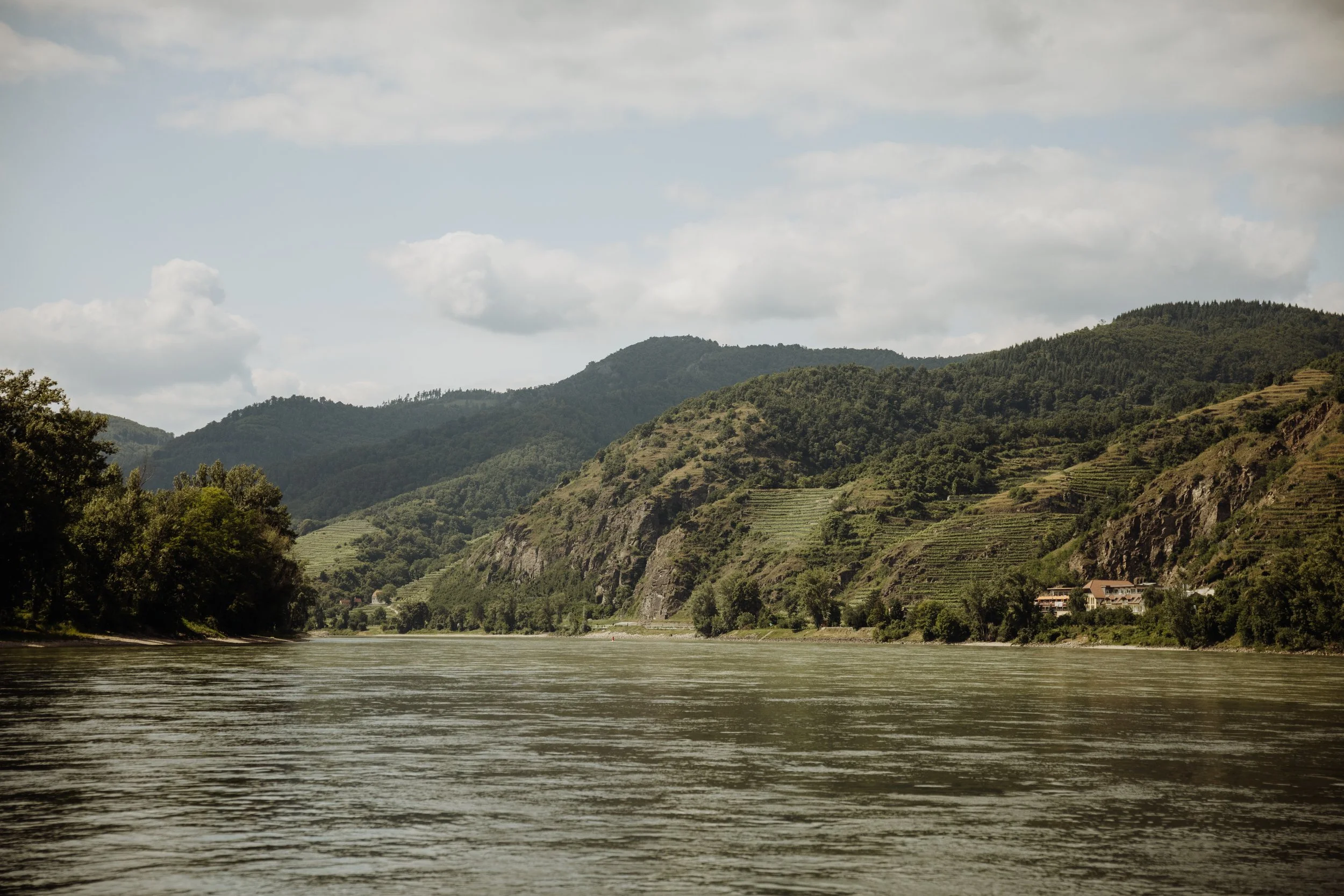 Bootstouren Wachau - (c) _michaelschartner.creative-7.jpg