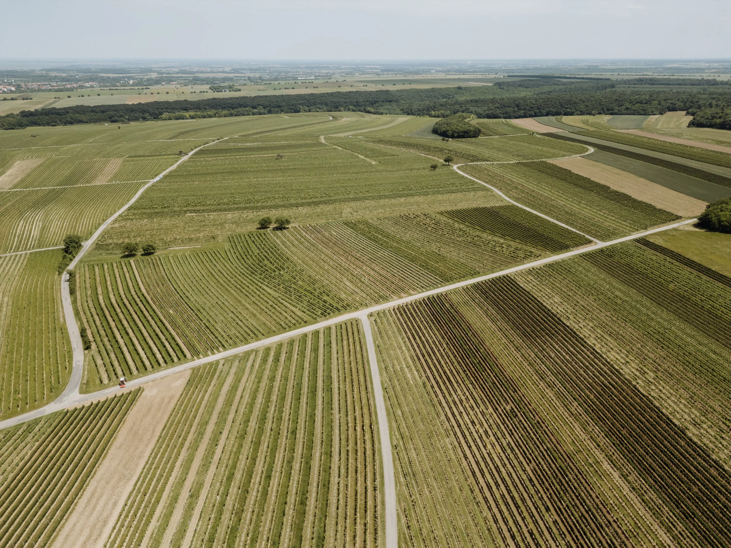 Weingut Pfneisl 1 - (c) _michaelschartner.creative .jpg