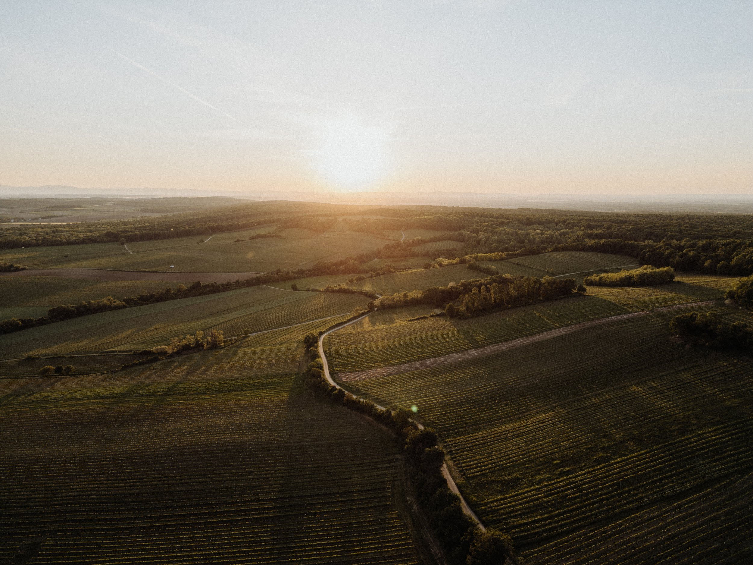 Weingut Markowitsch - 13.05.2025 (1 of 71).jpg