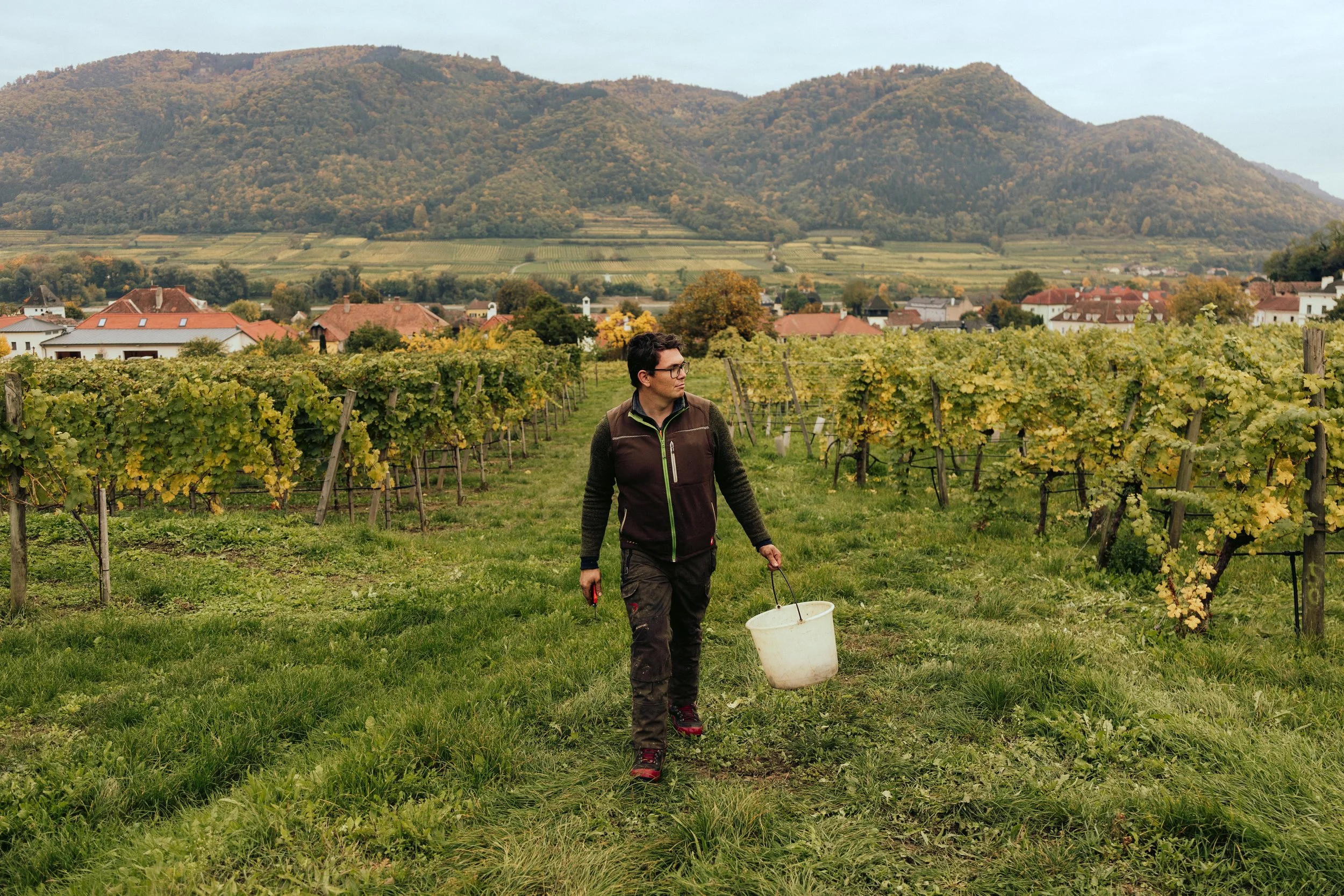 Domäne Wachau - Lese Preview @michaelschartner.creative-15.jpg