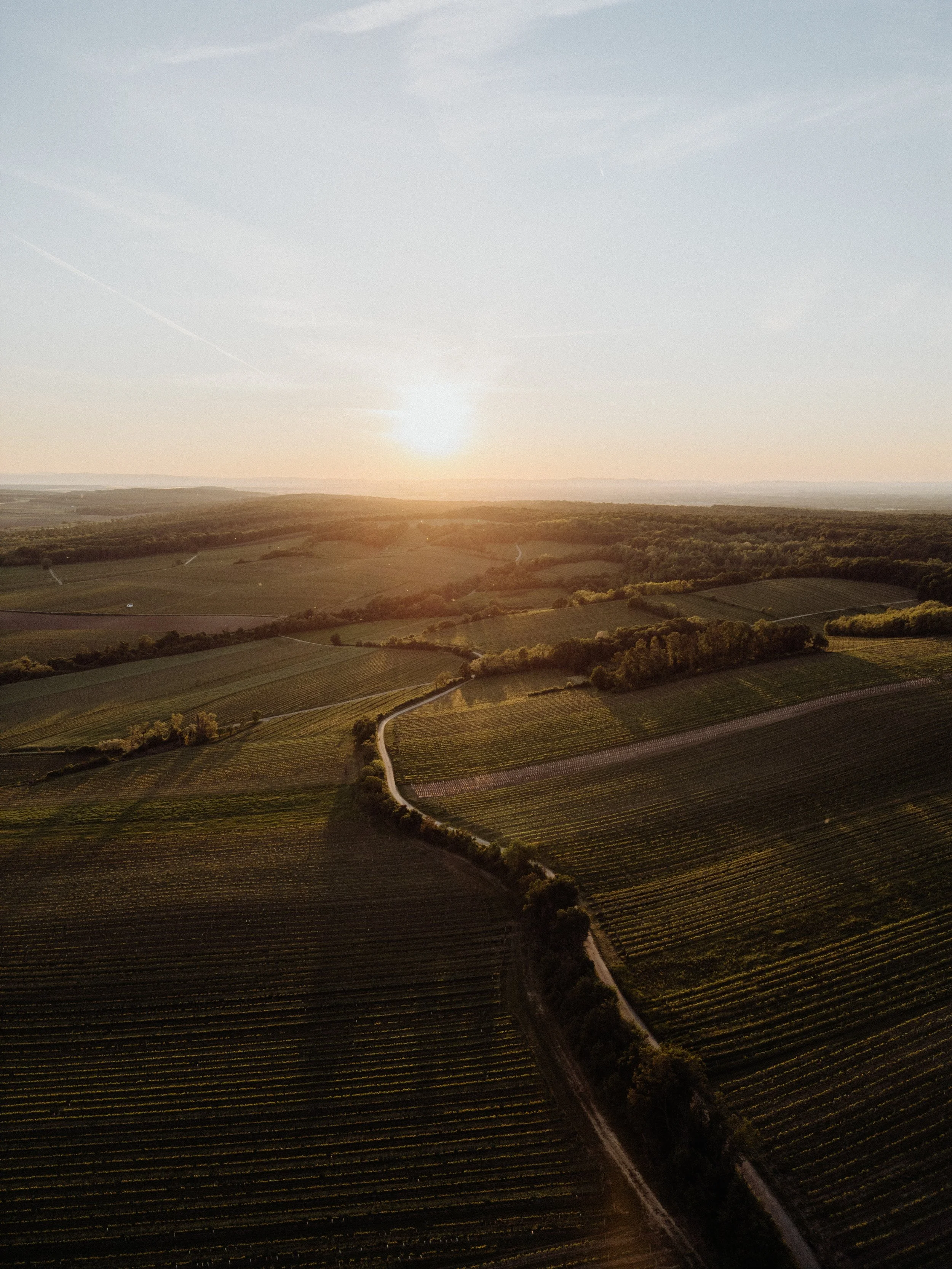 Weingut Markowitsch - 13.05.2025 (2 of 71).jpg