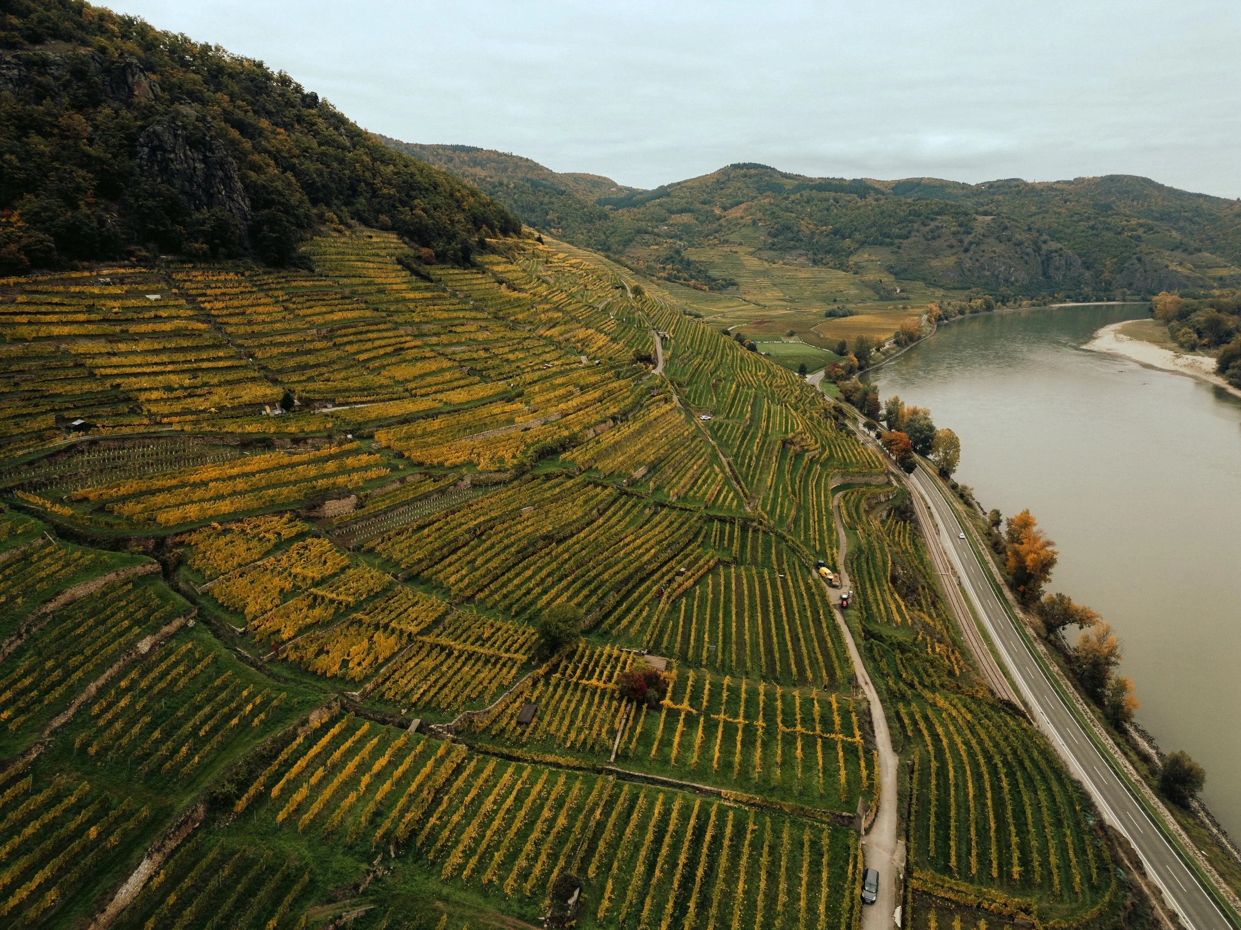 Domäne Wachau - Lese Preview @michaelschartner.creative-2.jpg