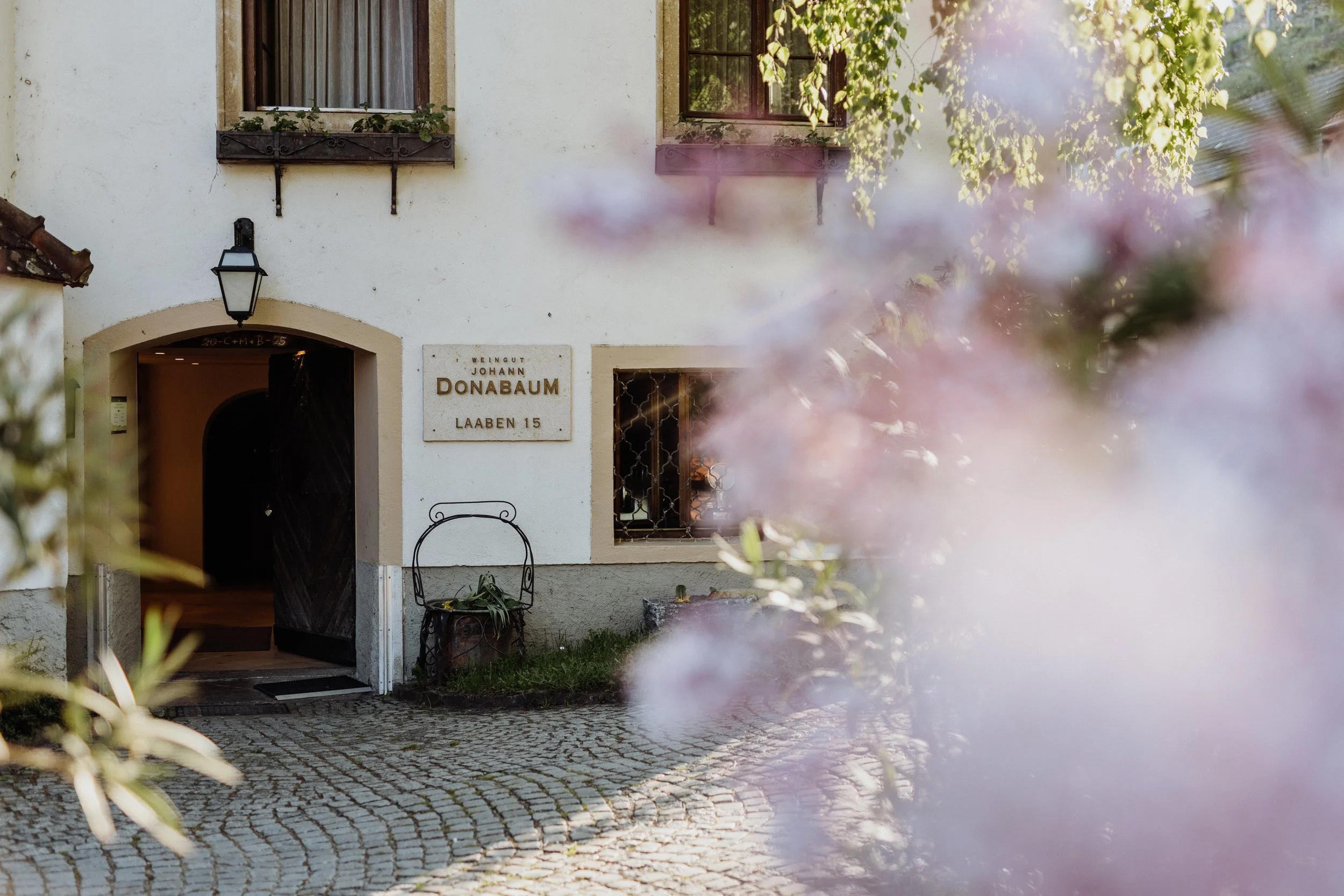 Weingut Johann Donabaum (19 of 24).jpg