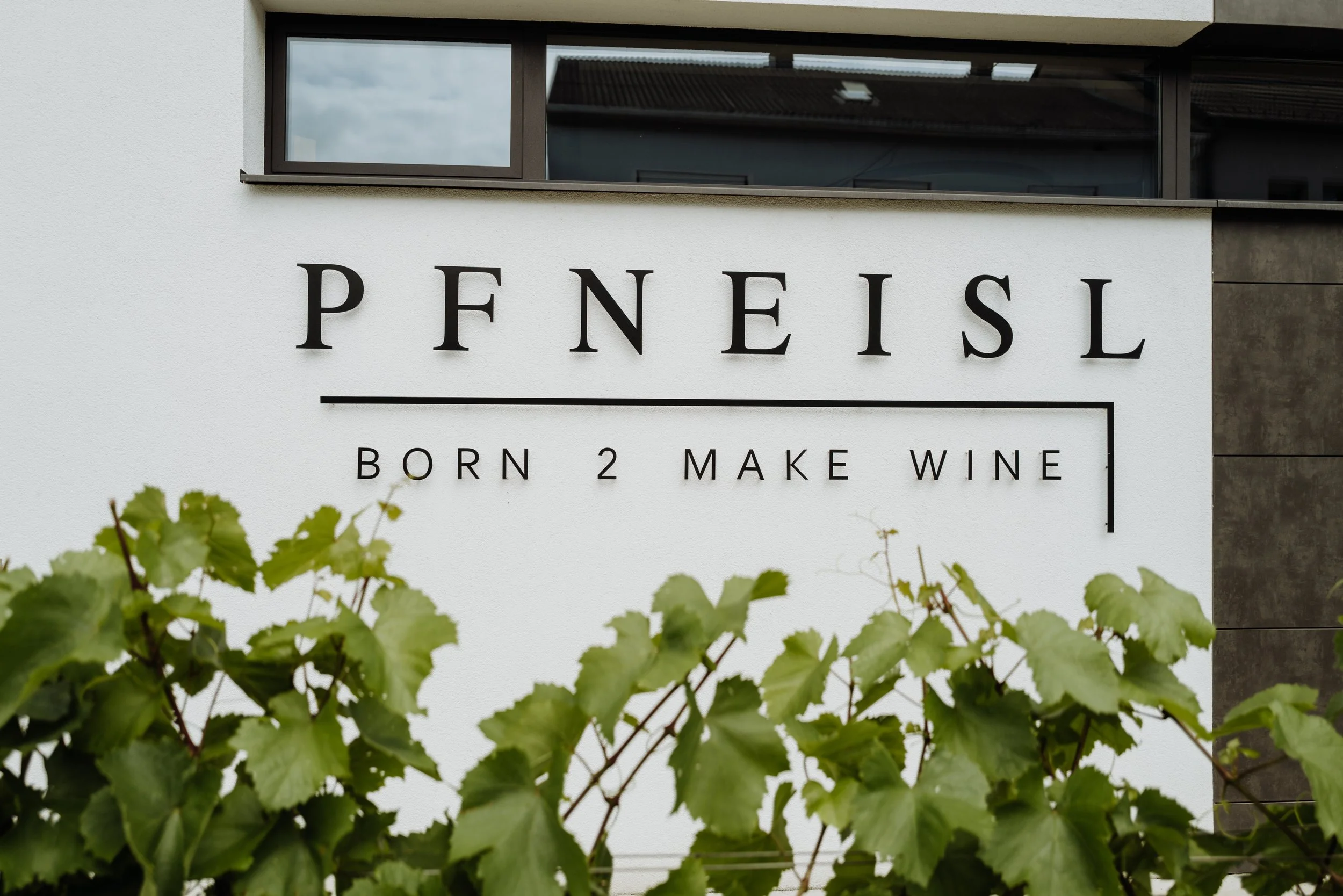 Weingut Pfneisl 3 - (c) _michaelschartner.creative.jpg