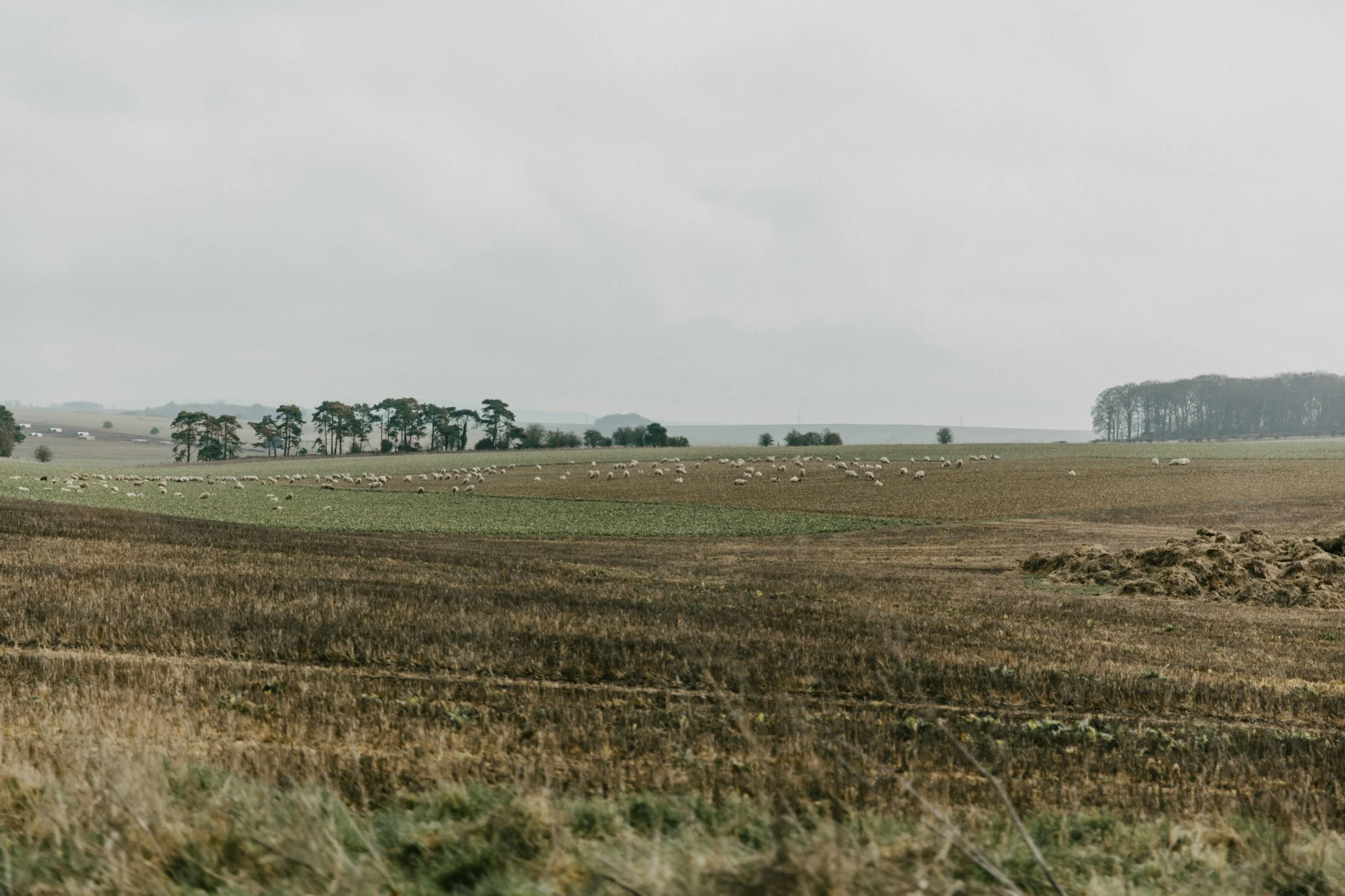 Michael Schartner South England (11 of 33).jpg