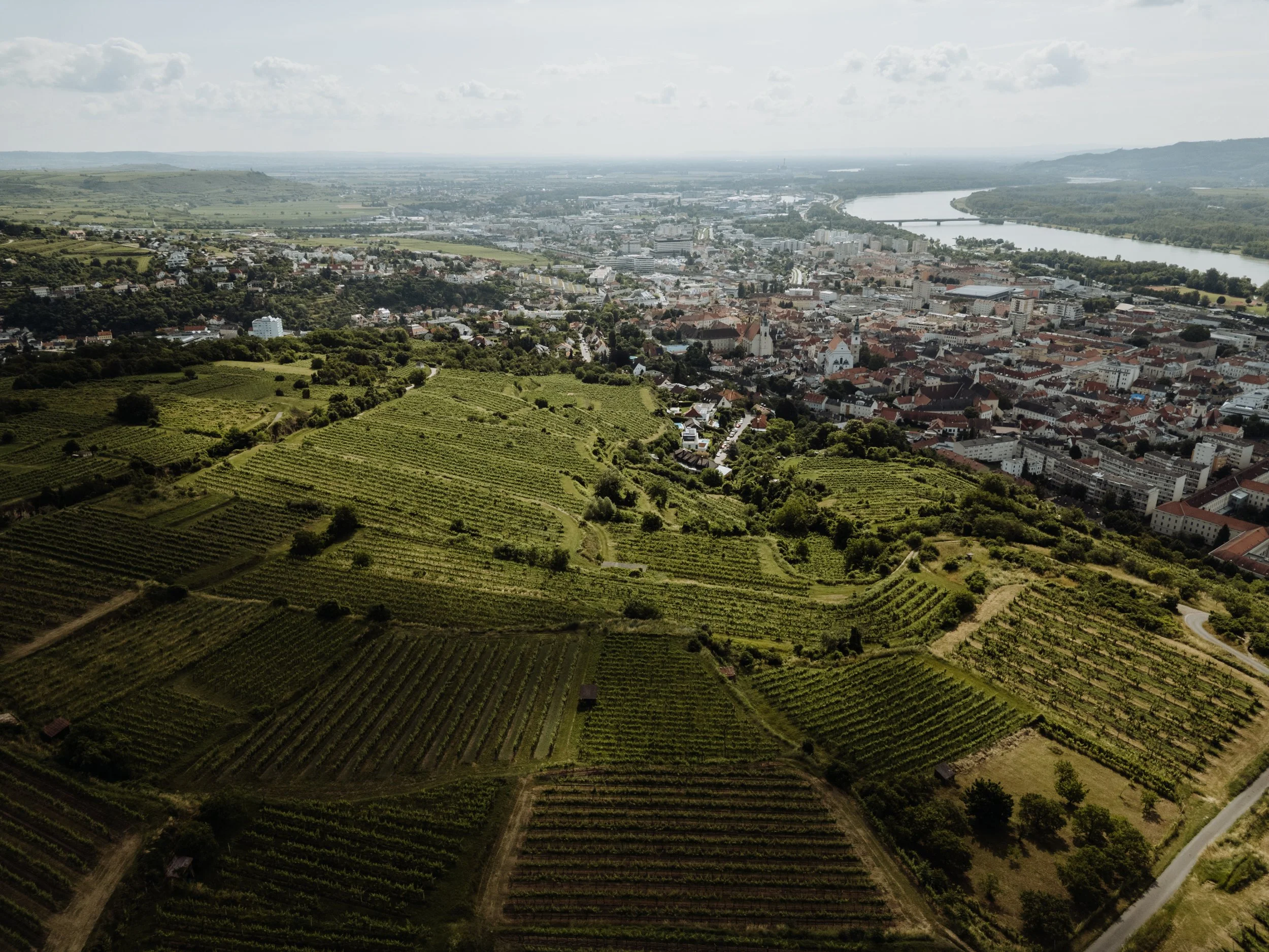 Weingut Türk - (c) _michaelschartner.creative-1.jpg