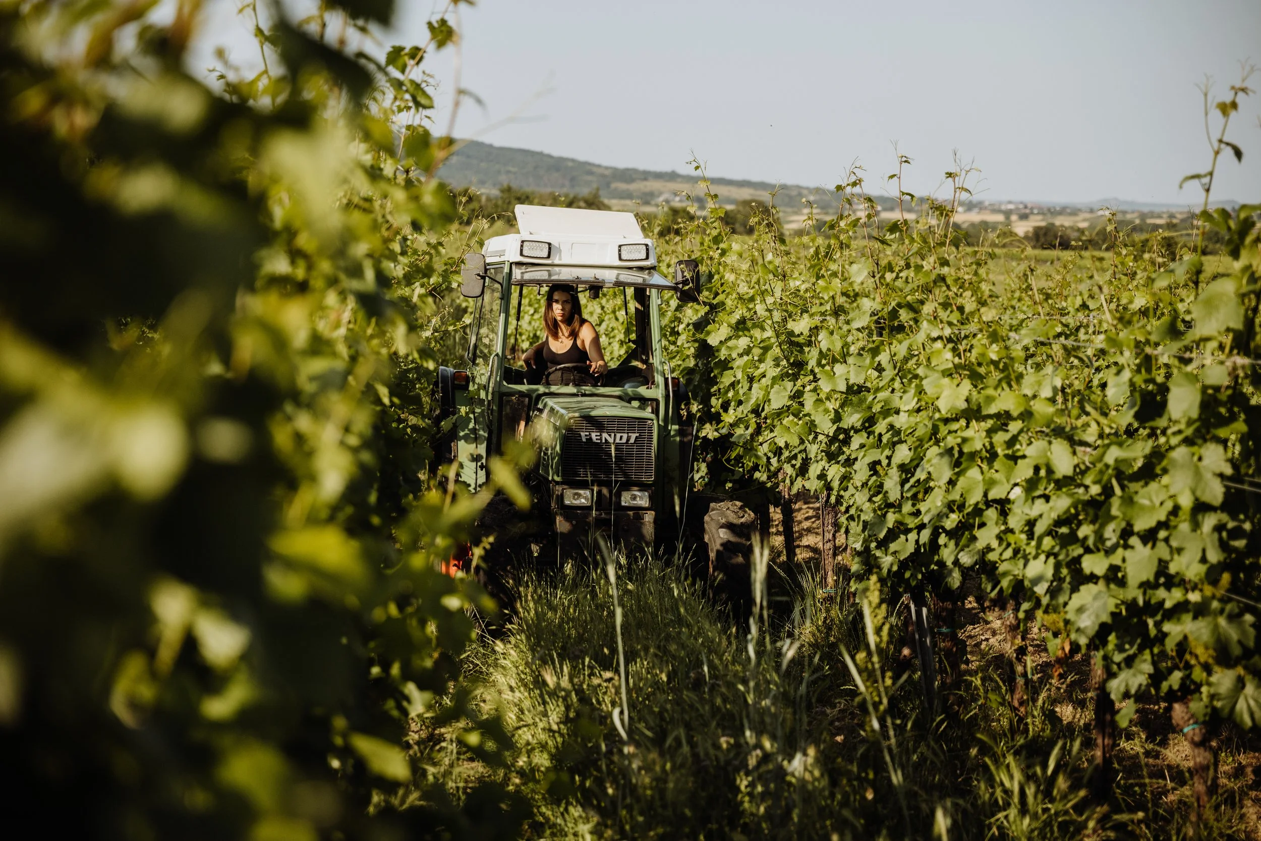 Weingut Reichardt - (c) _michaelschartner.creative-13.jpg