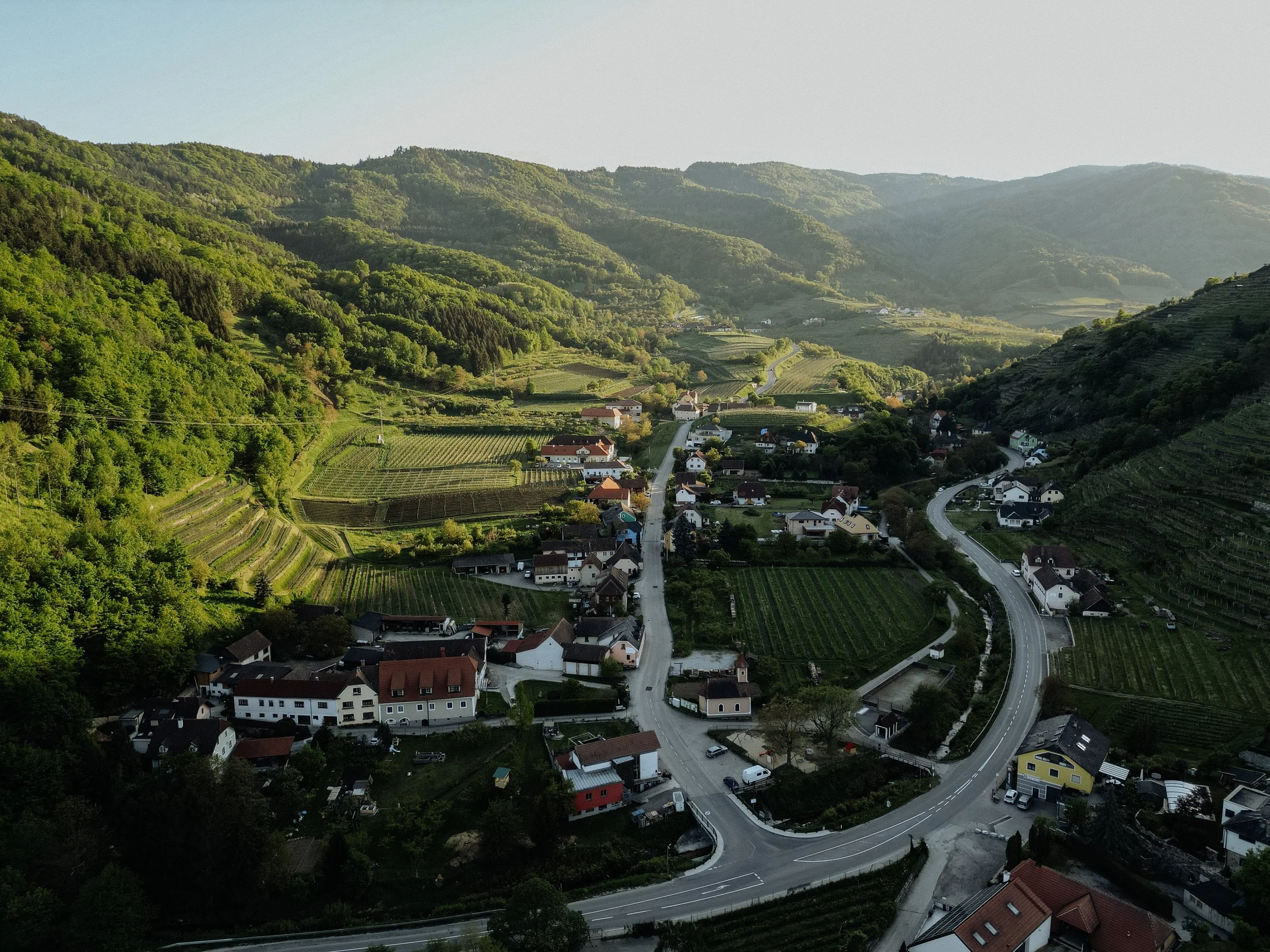 Weingut Johann Donabaum (1 of 1).jpg