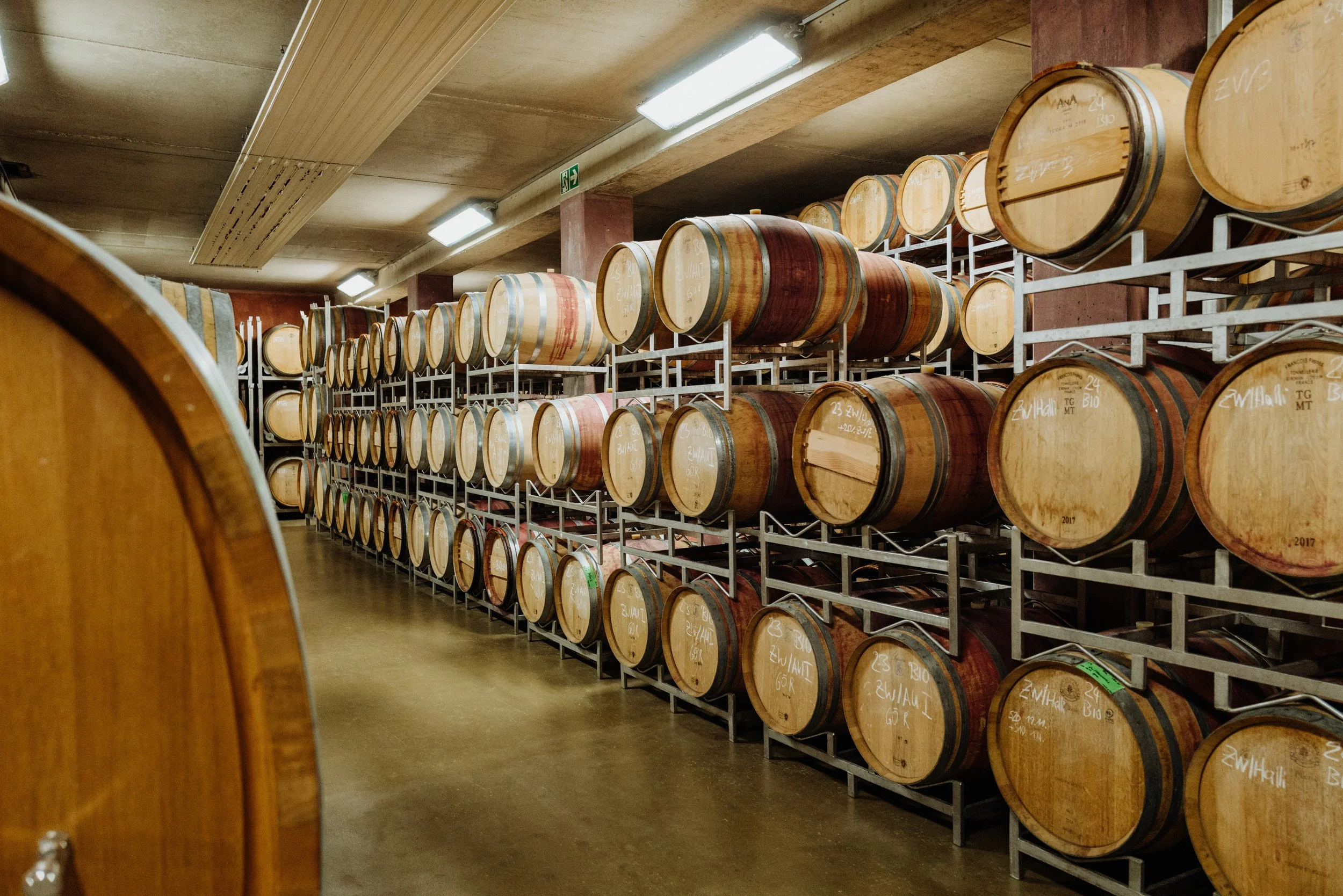 Weingut Markowitsch - 13.05.2025 (35 of 71).jpg