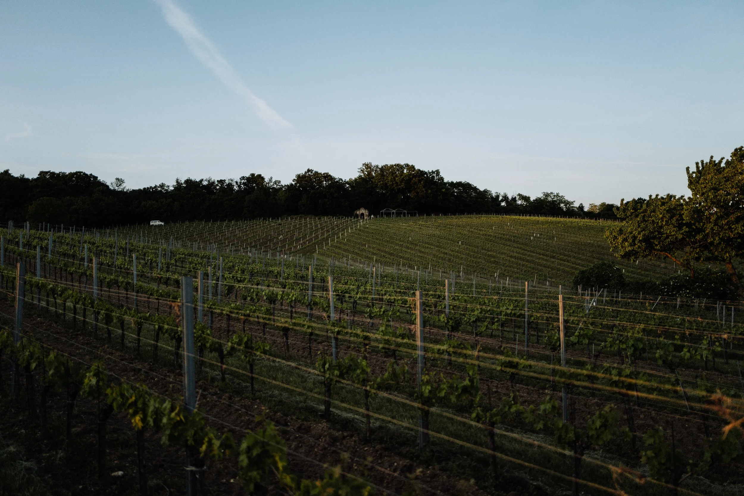 Weingut Markowitsch - 13.05.2025 (69 of 71).jpg