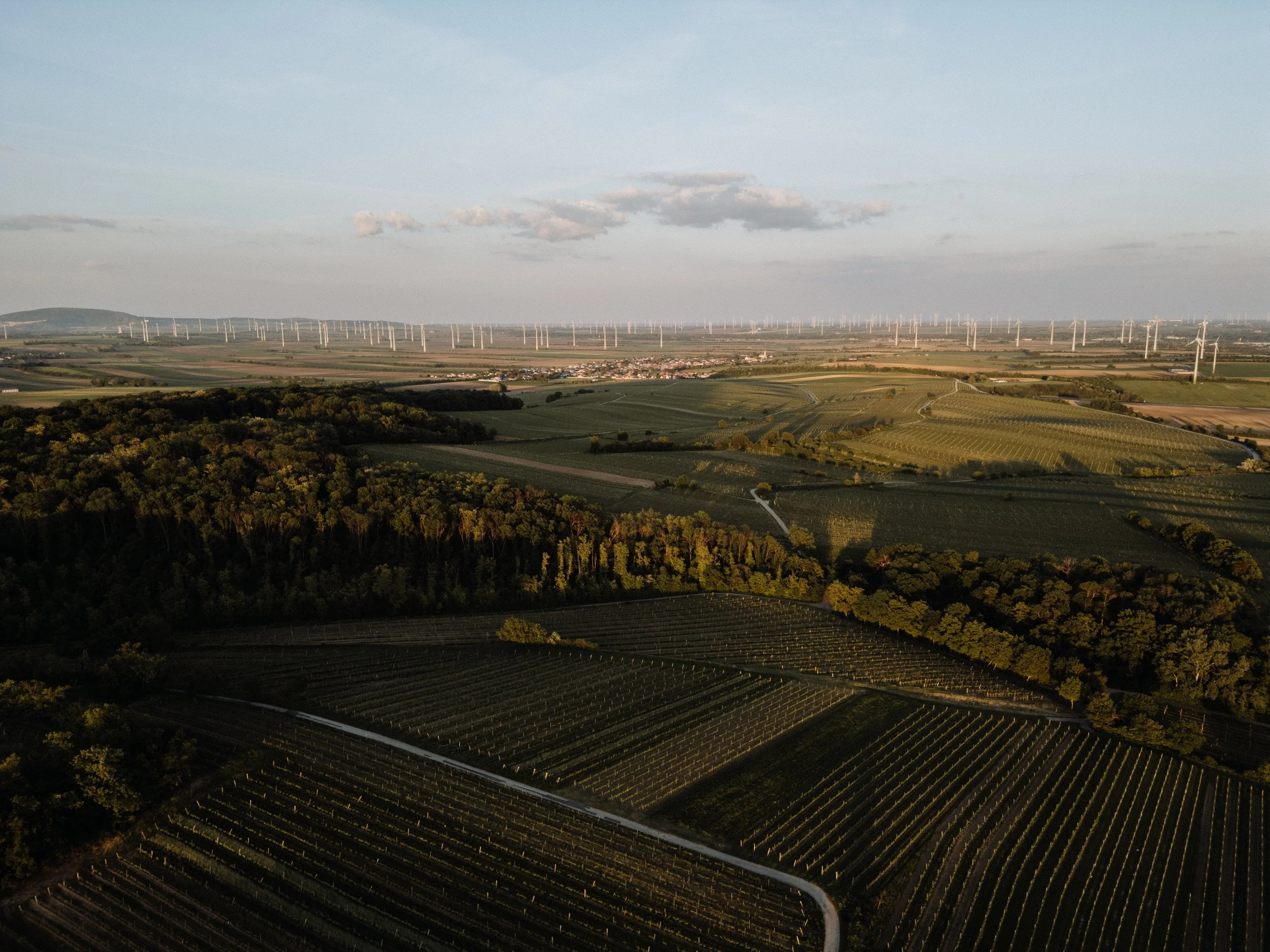 Weingut Markowitsch - 13.05.2025 (6 of 71).jpg