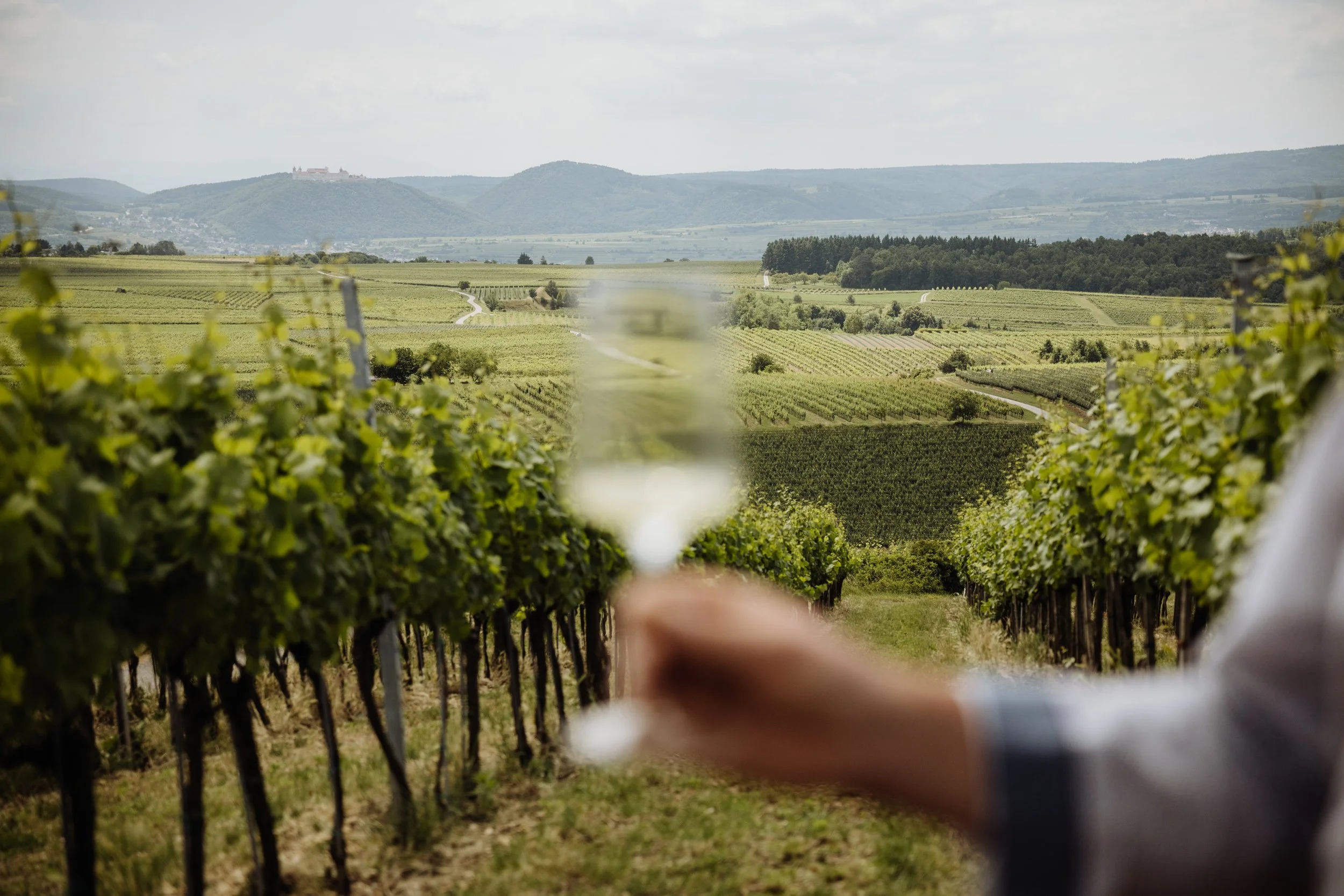 Weingut Türk - (c) _michaelschartner.creative-11.jpg