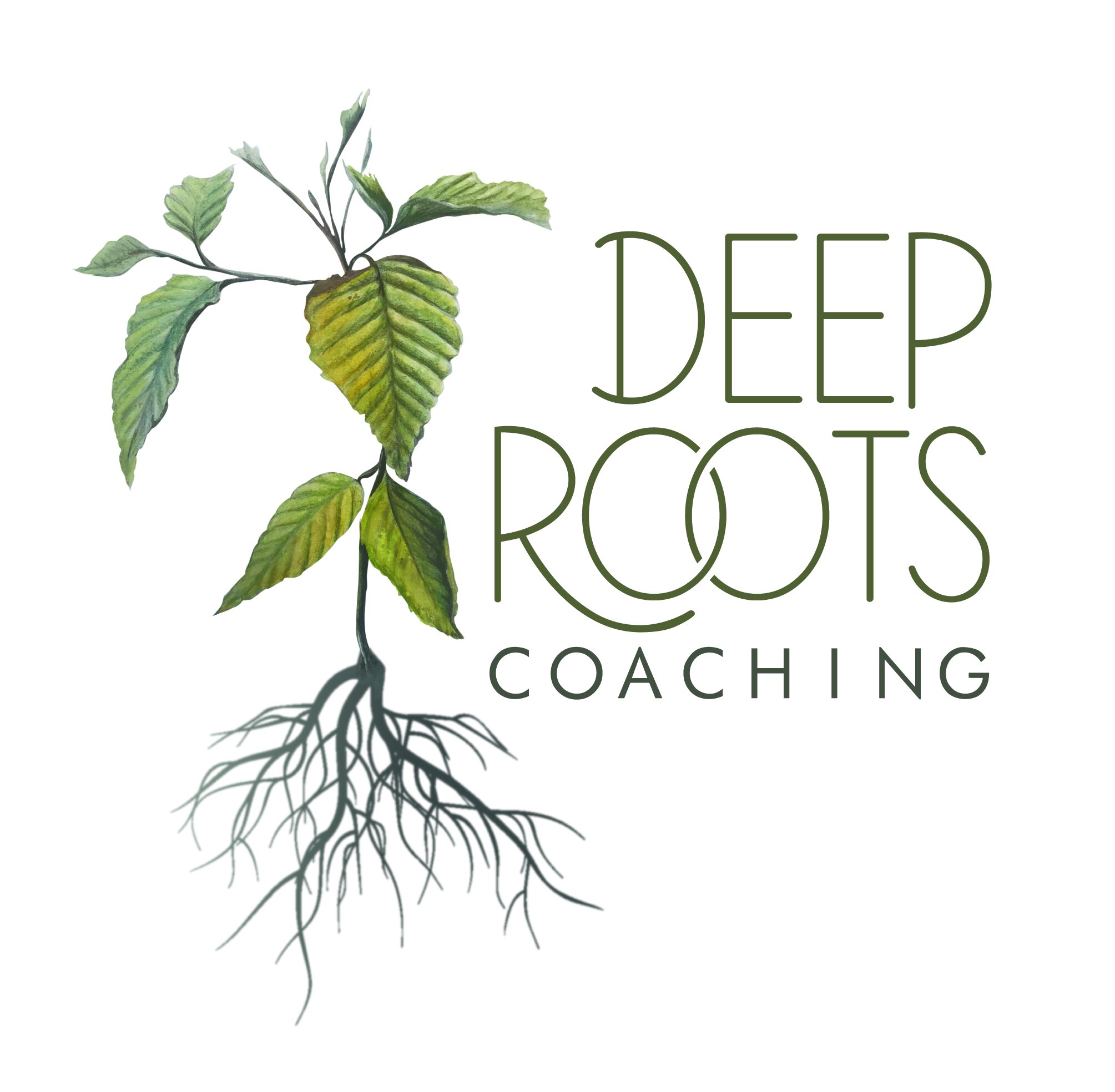 DEEP ROOTS COACHING LOGO-01.jpg