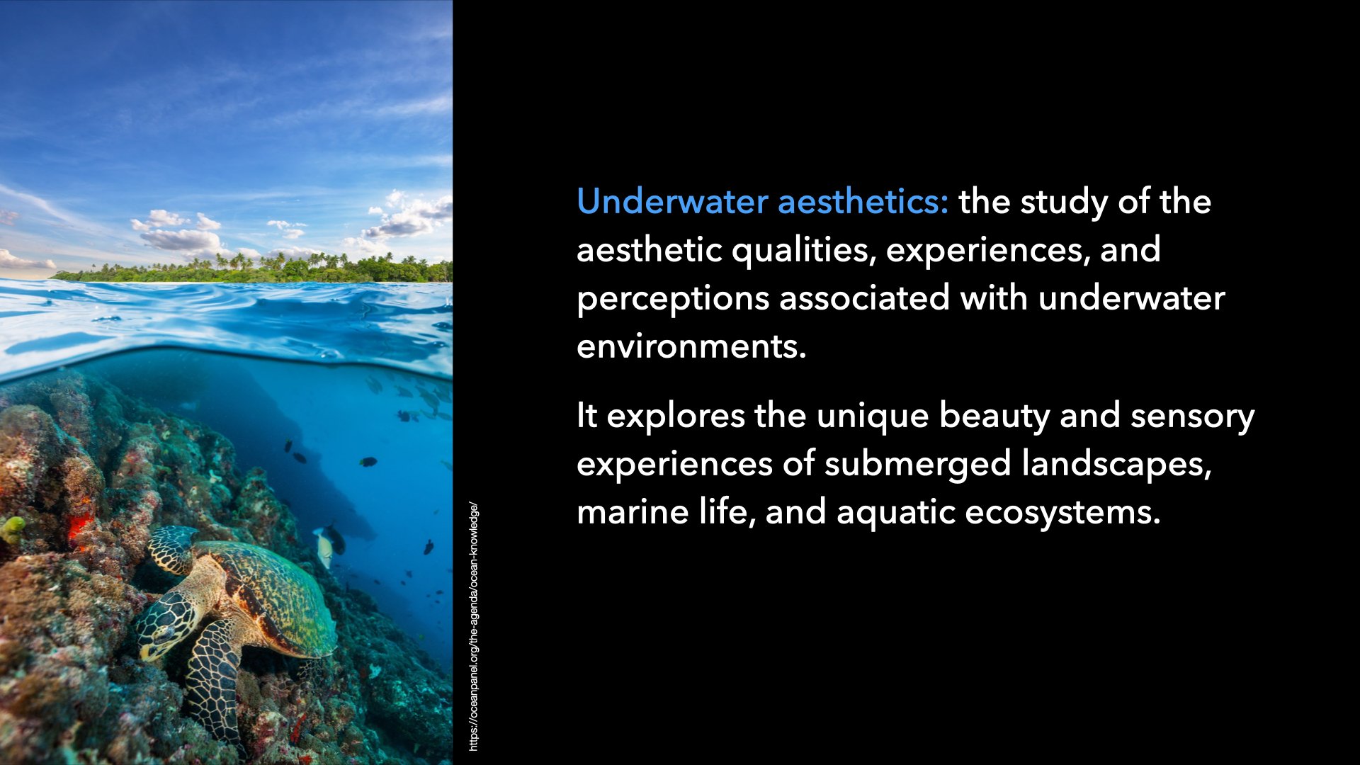 Underwater Aesthetics.010.jpeg