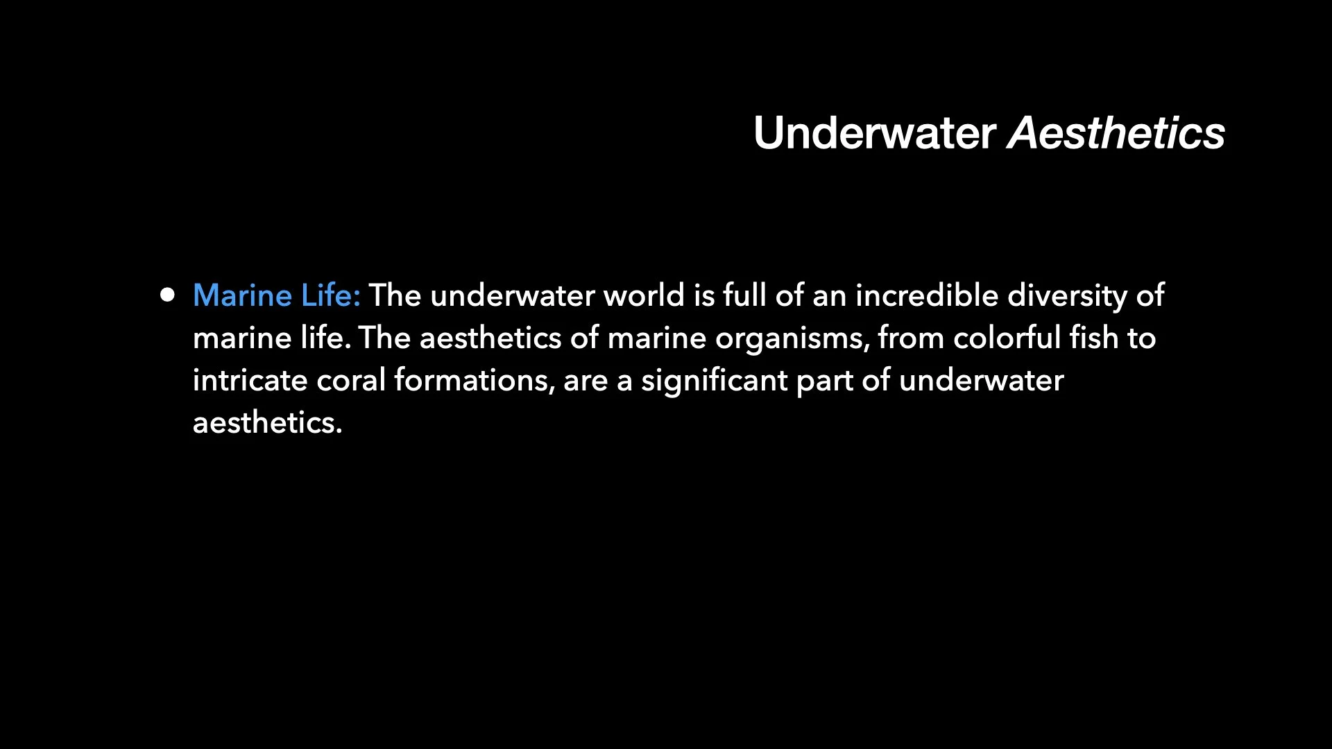Underwater Aesthetics.013.jpeg