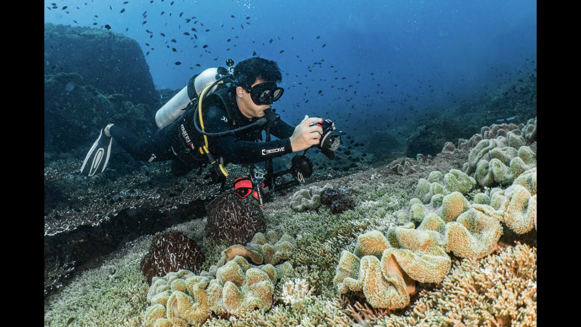 Underwater Aesthetics.020.jpeg