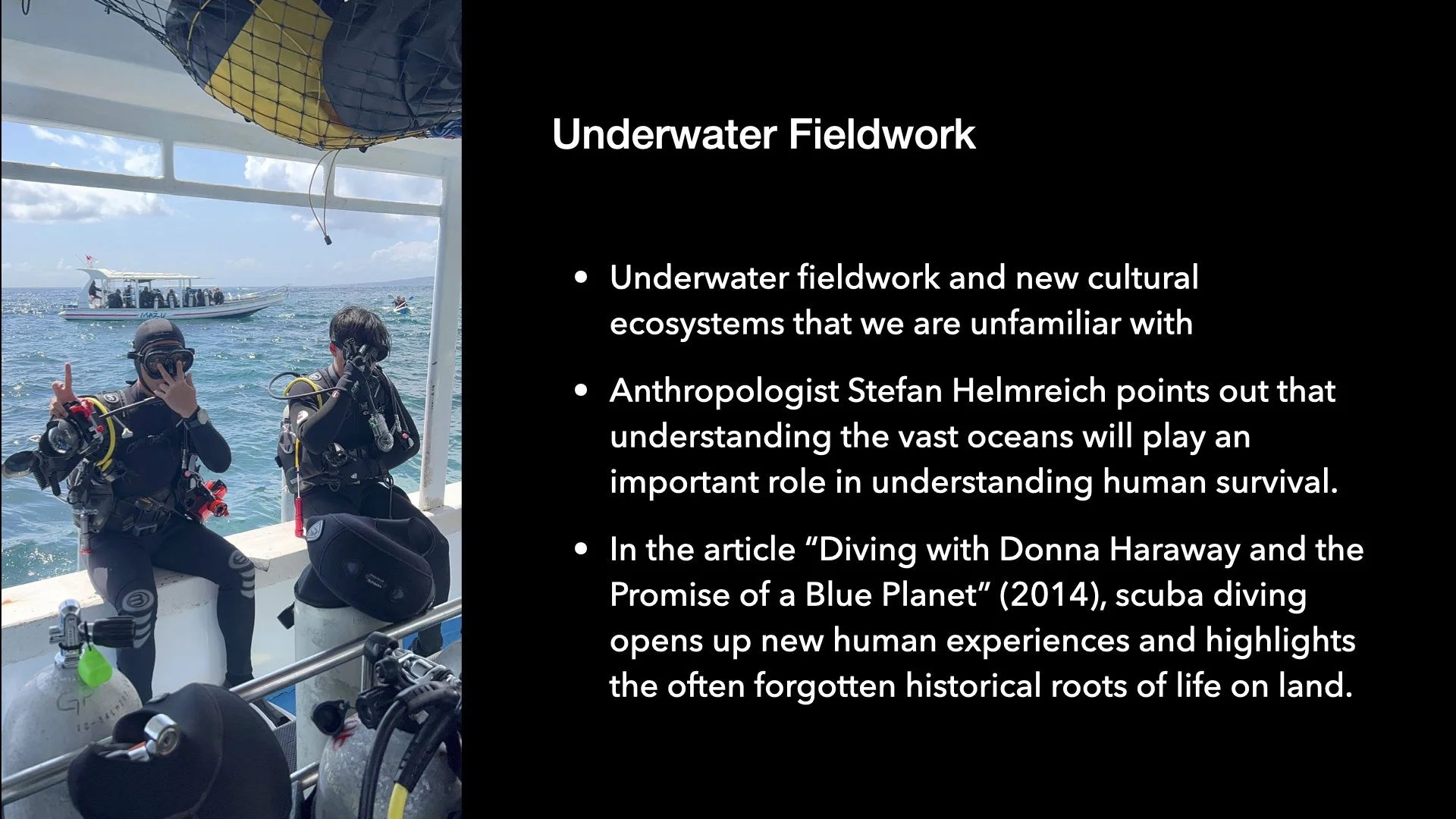 Underwater Aesthetics.023.jpeg