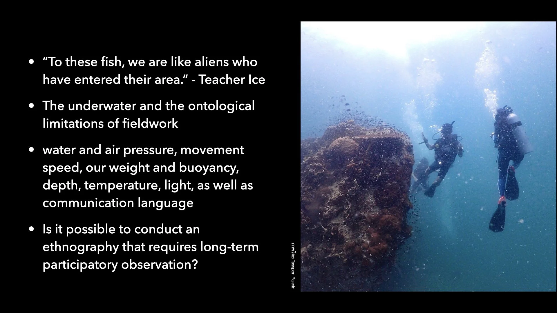 Underwater Aesthetics.029.jpeg