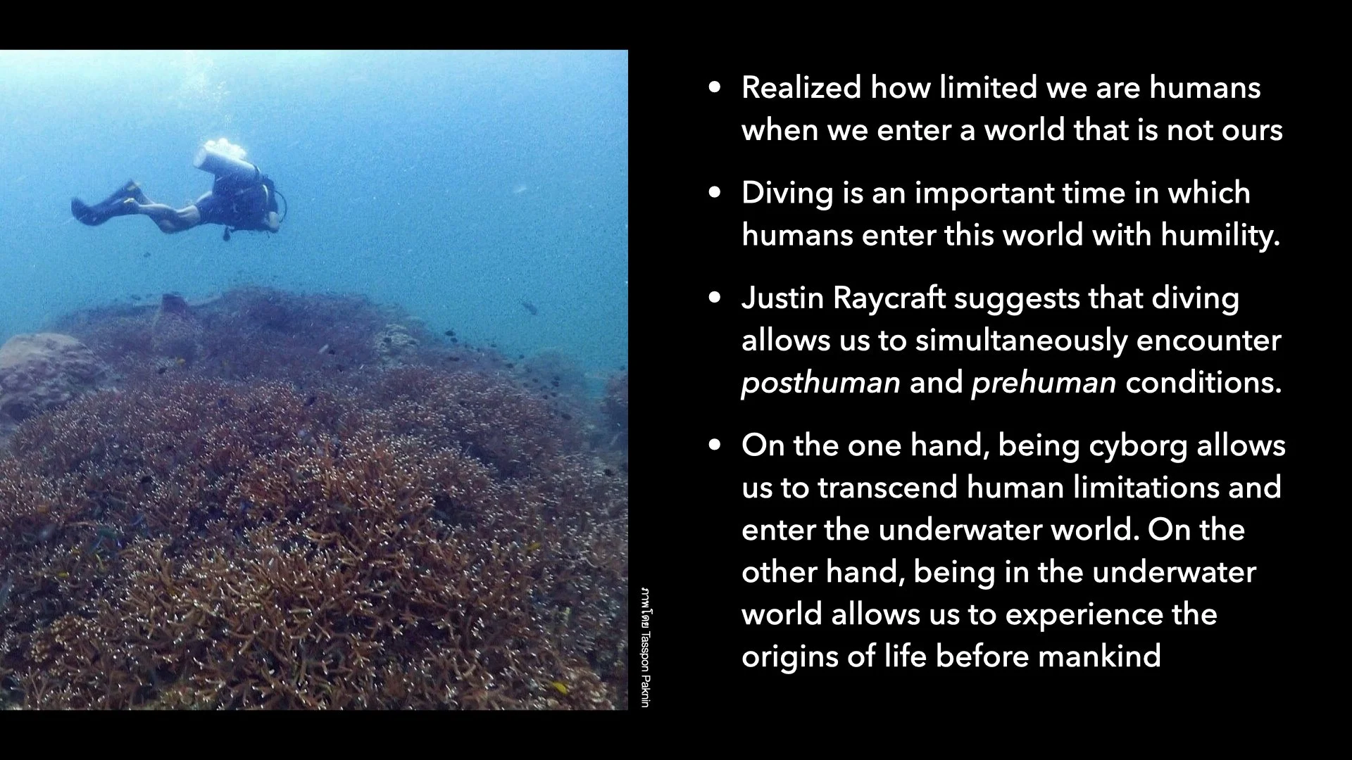 Underwater Aesthetics.030.jpeg