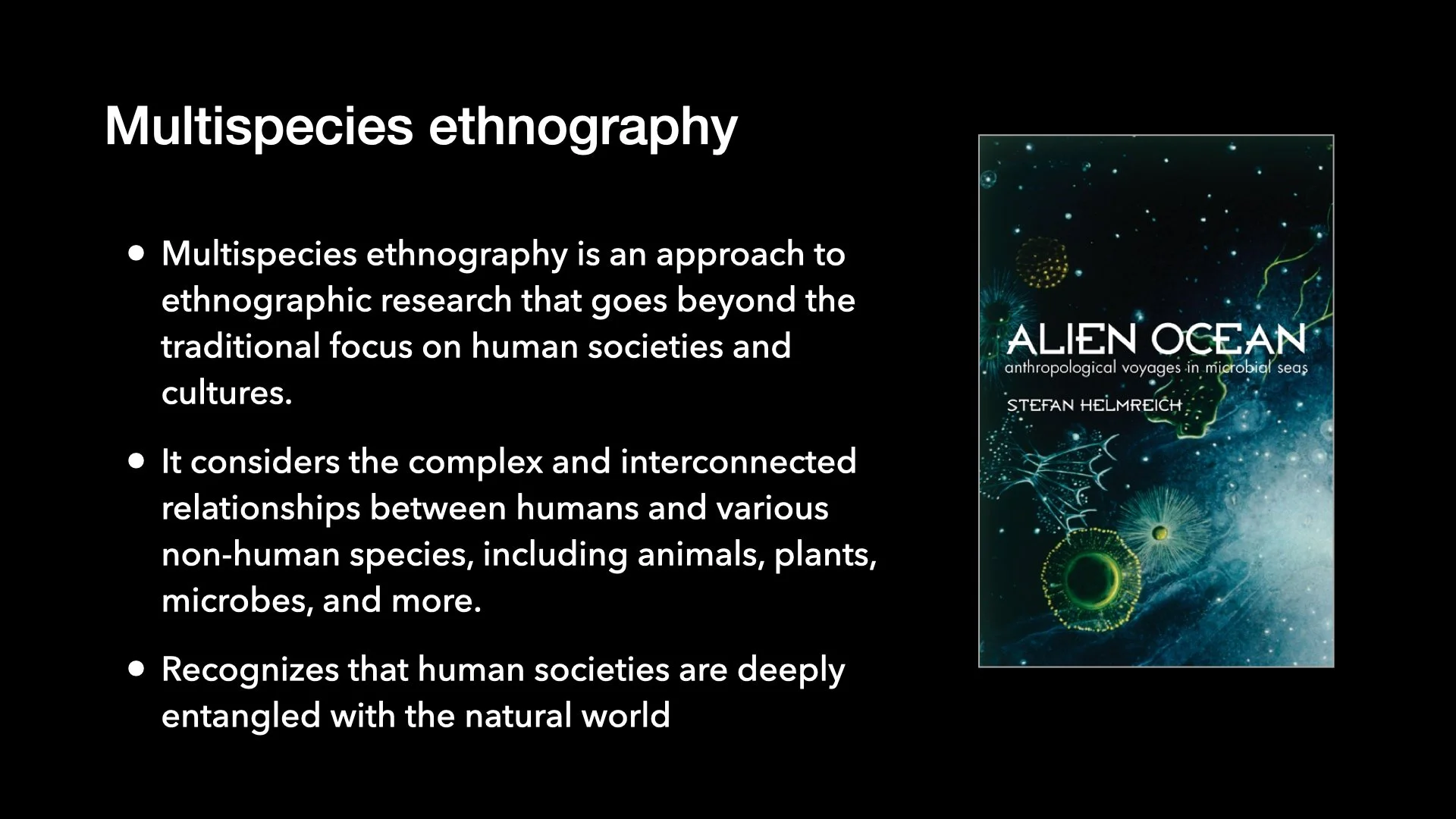 Underwater Aesthetics.032.jpeg