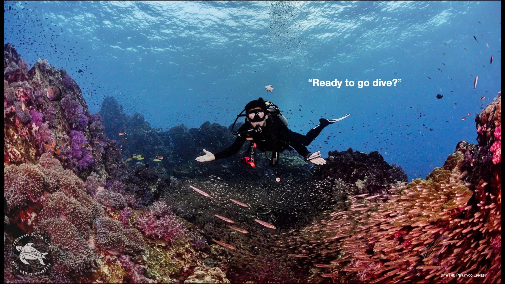 Underwater Aesthetics.033.jpeg