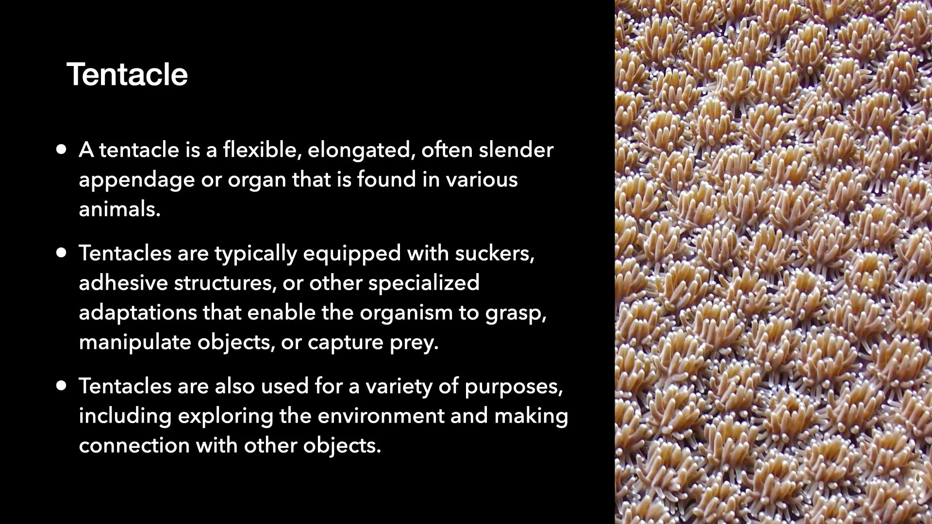 Underwater Aesthetics.035.jpeg