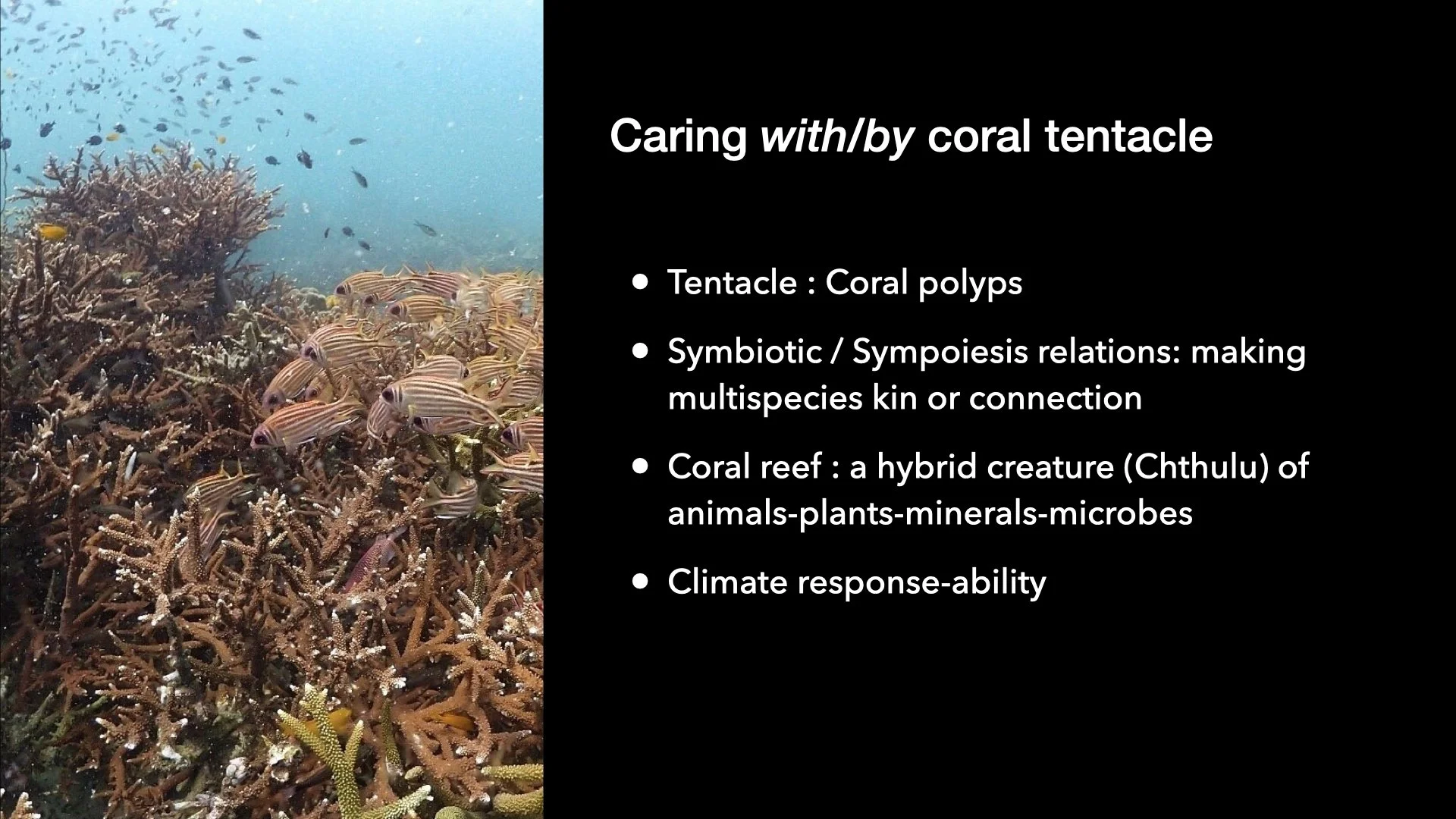 Underwater Aesthetics.042.jpeg