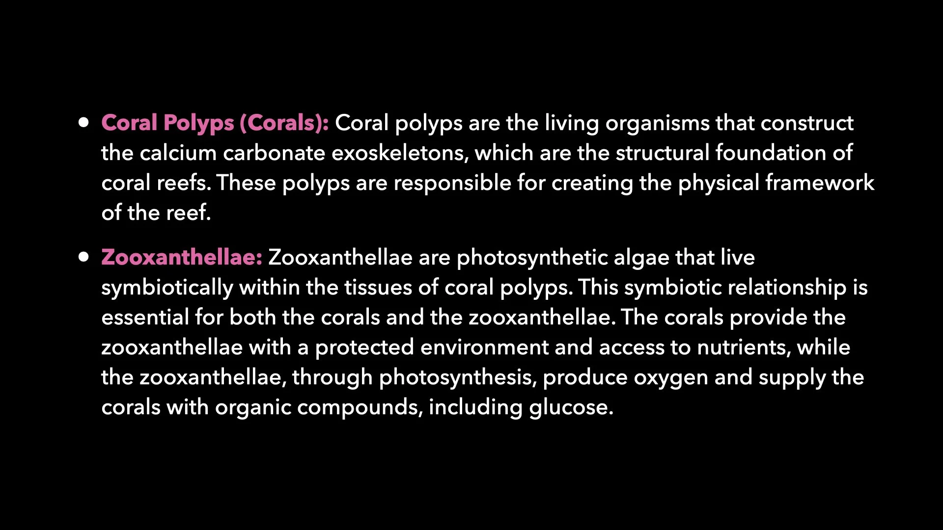 Underwater Aesthetics.044.jpeg