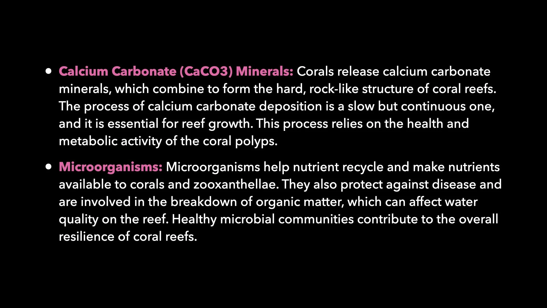 Underwater Aesthetics.045.jpeg