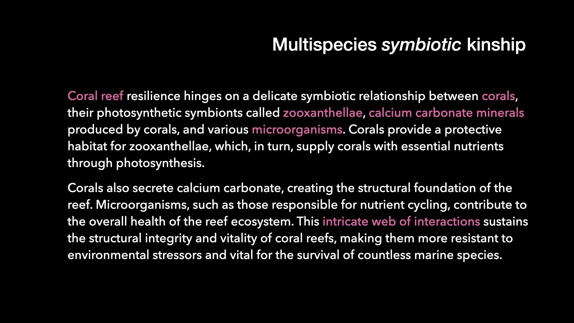 Underwater Aesthetics.046.jpeg