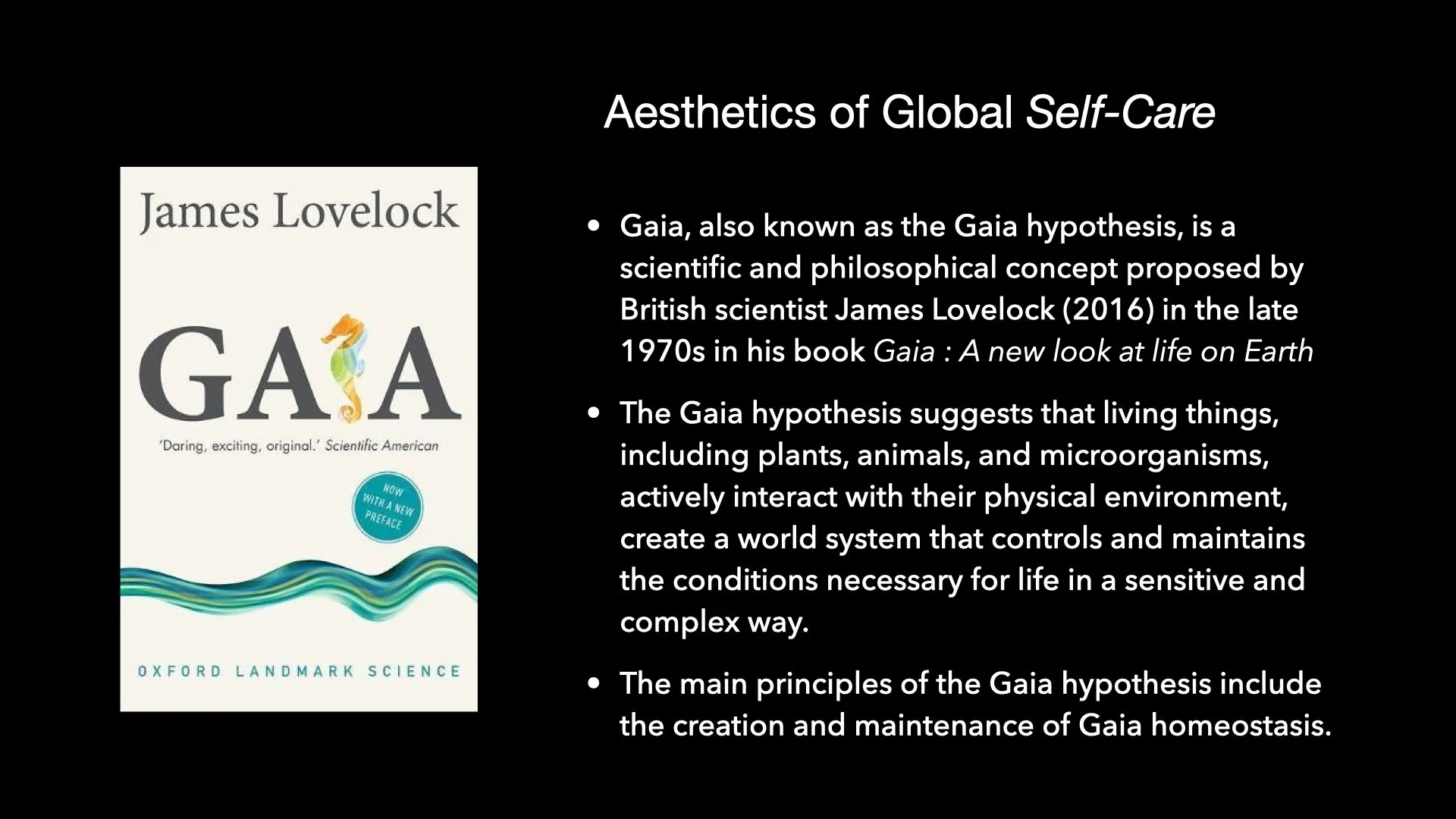 Underwater Aesthetics.049.jpeg