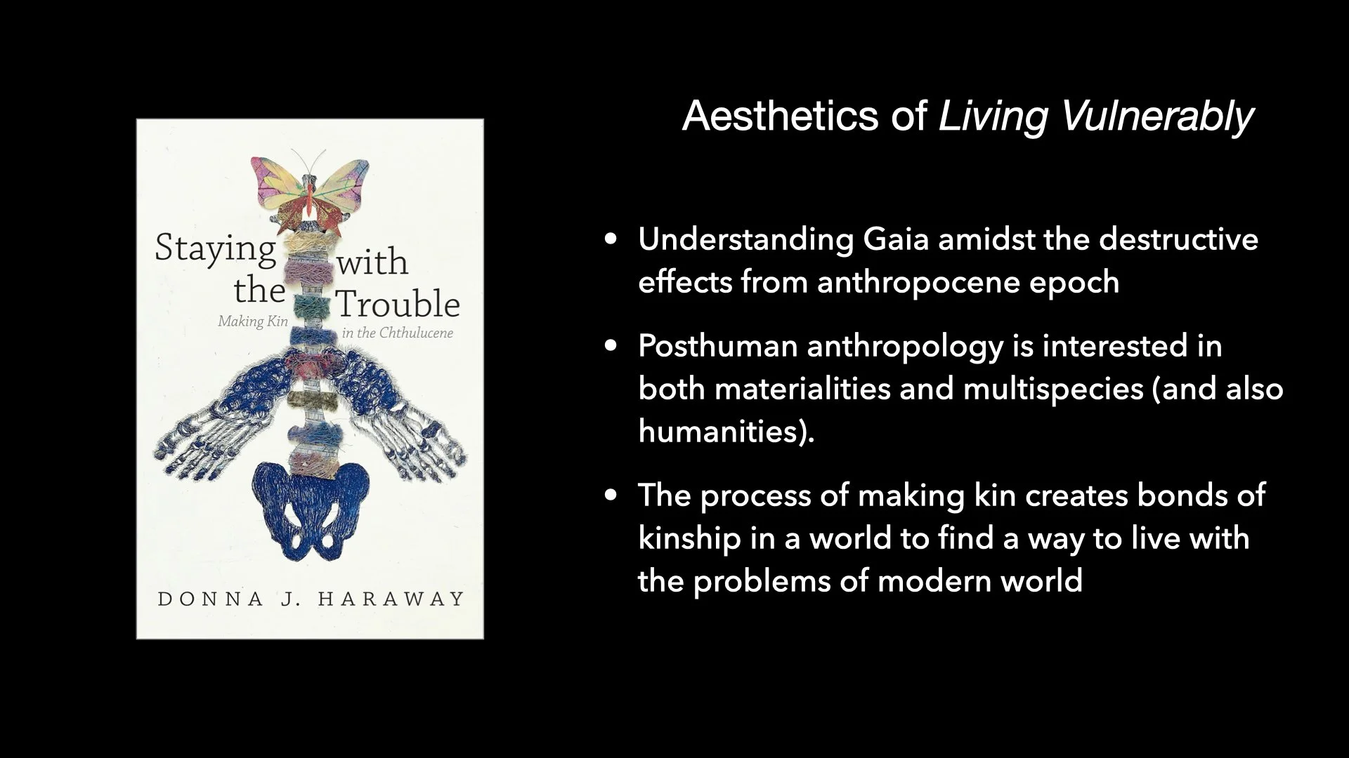 Underwater Aesthetics.051.jpeg