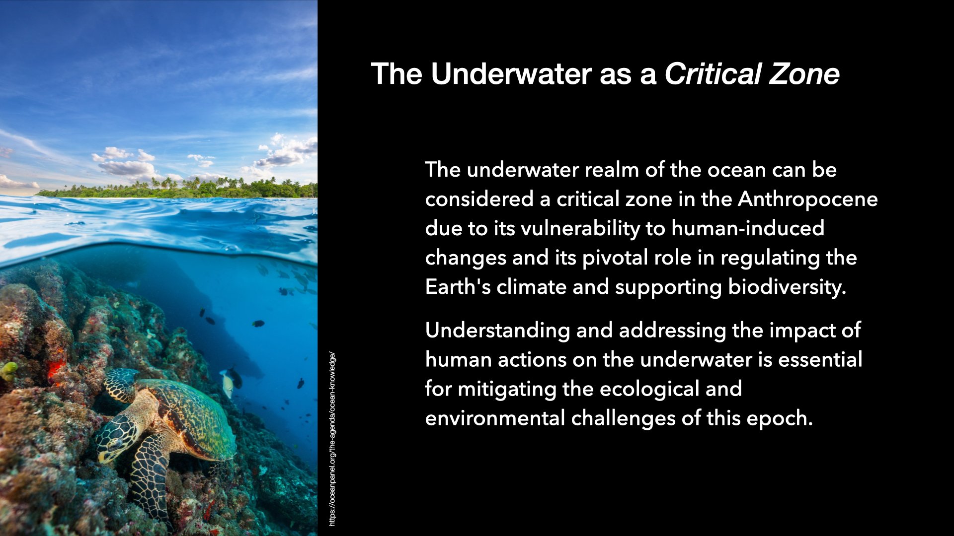 Underwater Aesthetics.052.jpeg