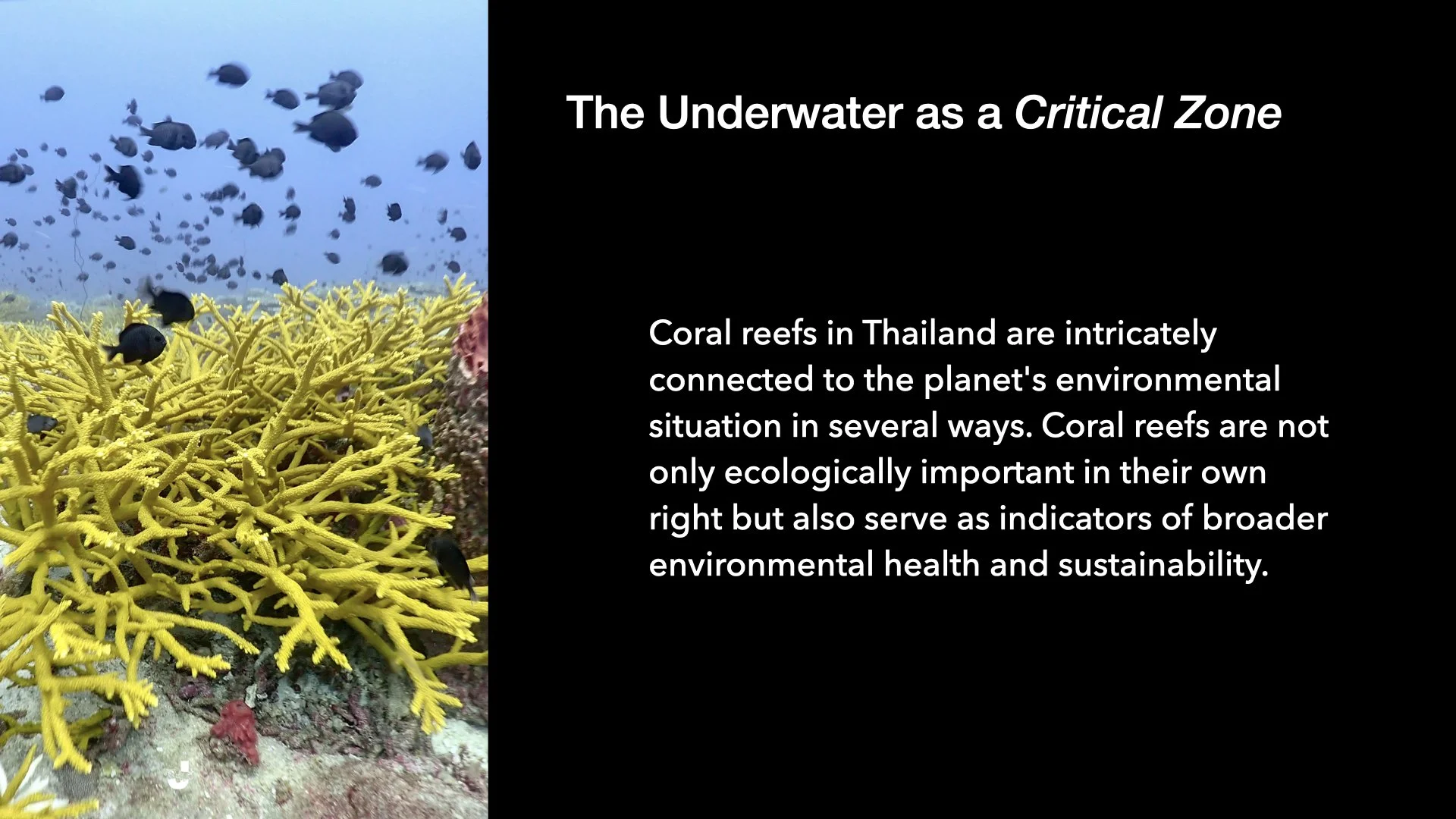 Underwater Aesthetics.053.jpeg