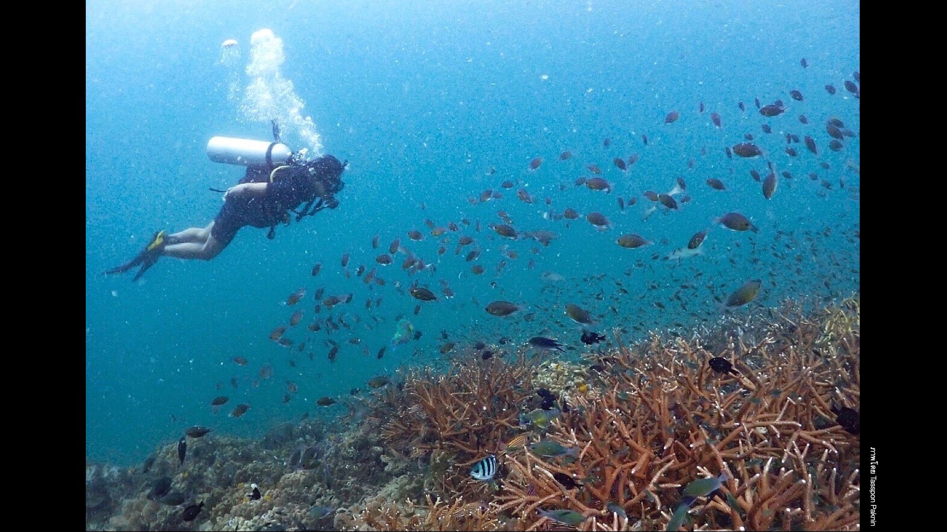 Underwater Aesthetics.059.jpeg