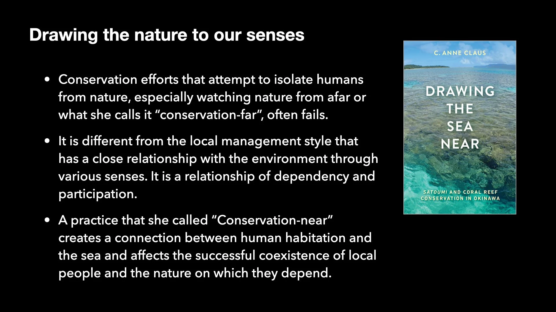 Underwater Aesthetics.061.jpeg