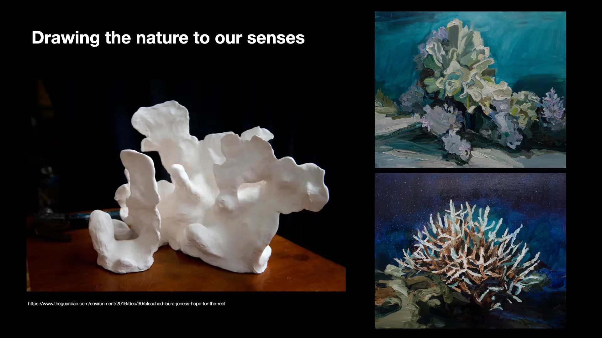 Underwater Aesthetics.063.jpeg