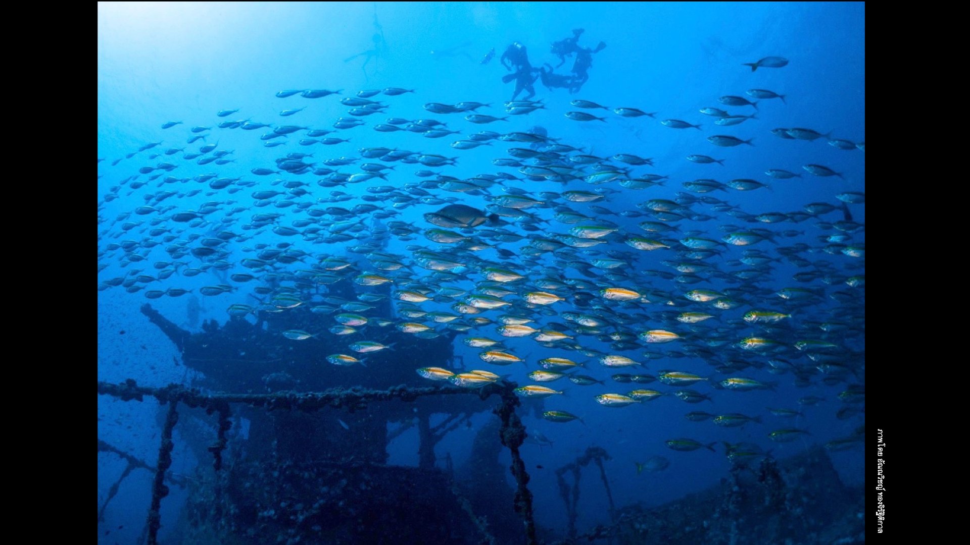 Underwater Aesthetics.064.jpeg