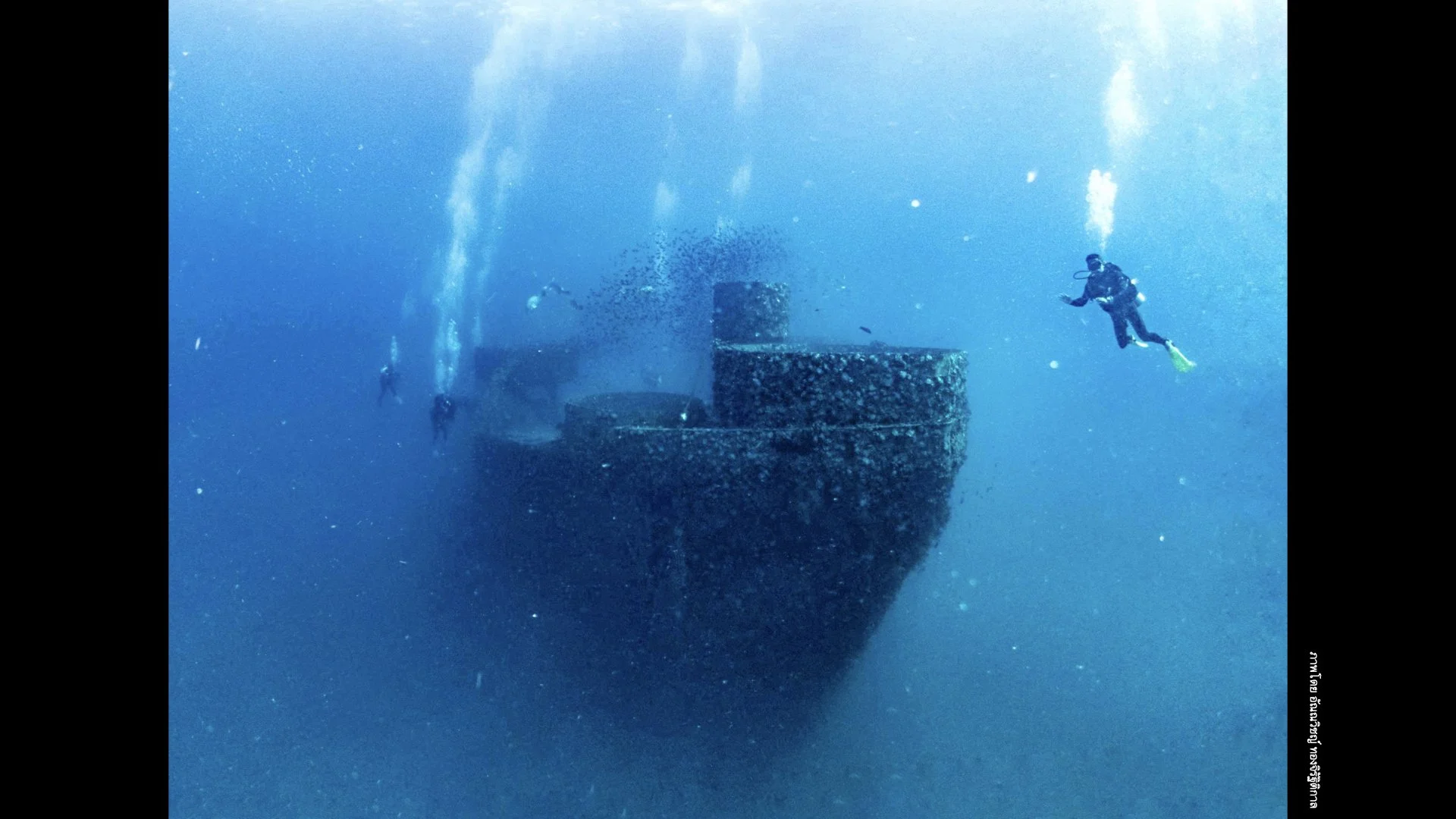 Underwater Aesthetics.065.jpeg